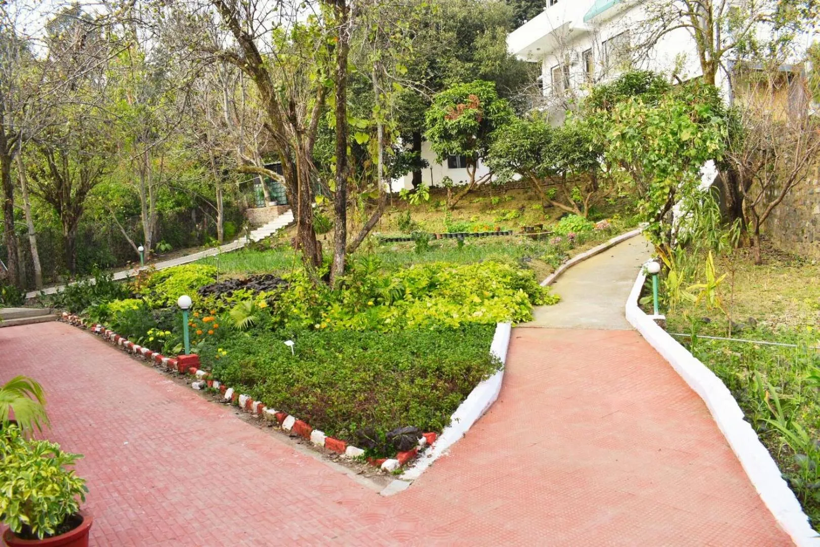 Garden view in Chirping Hills Resort,Bhimtal