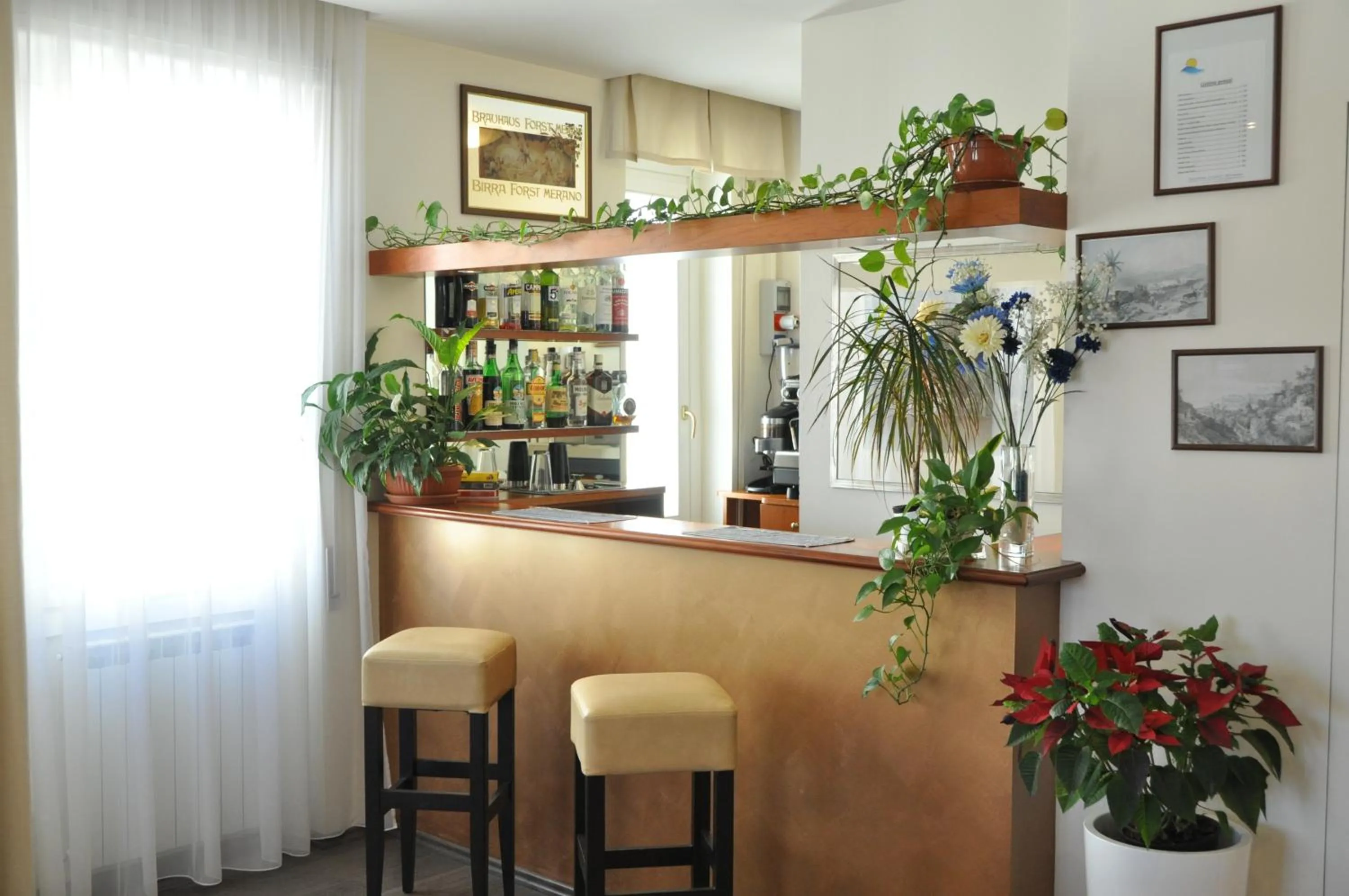 Lounge or bar in Hotel Sole Mare