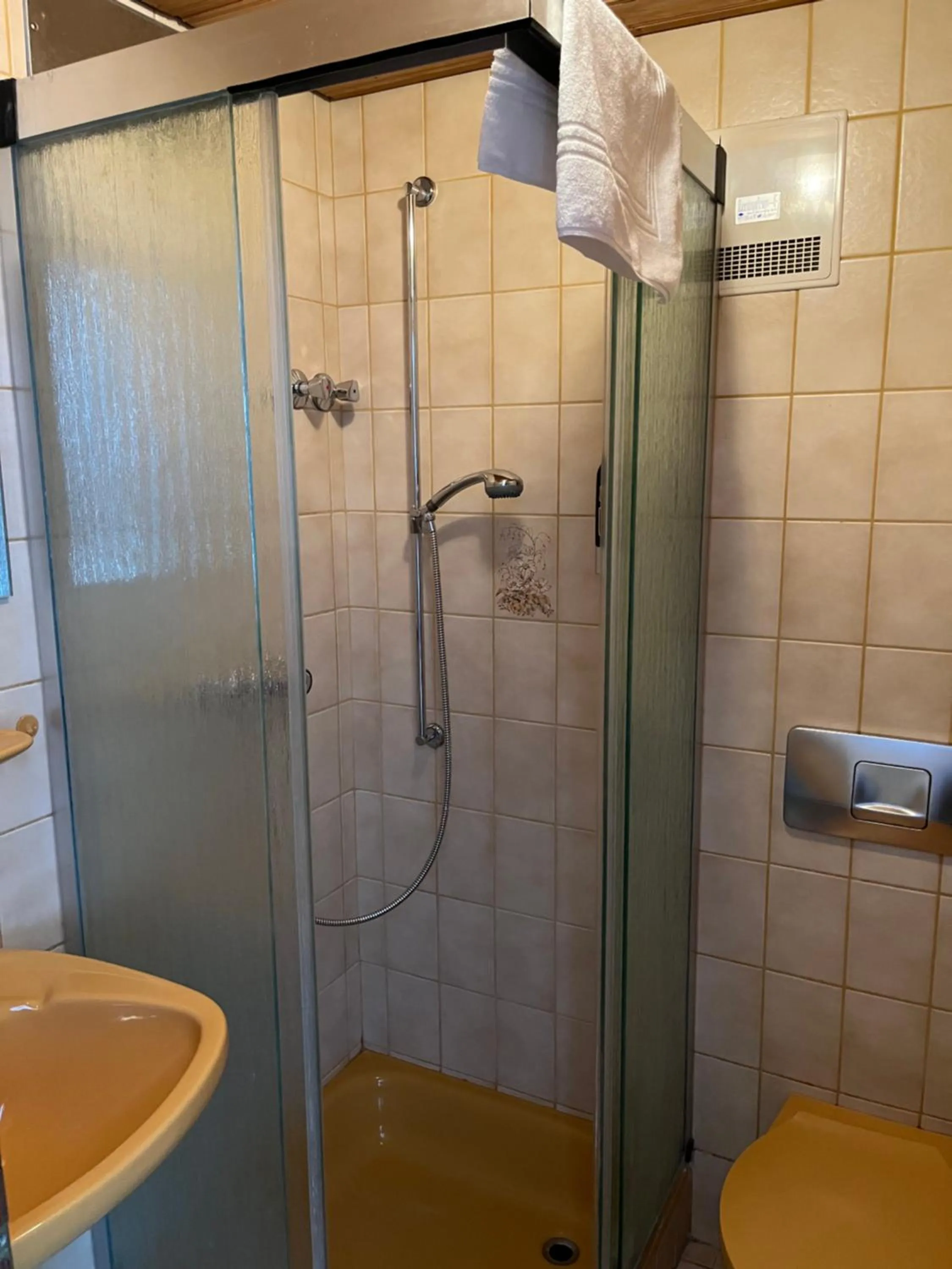 Shower in Pension Main-Art