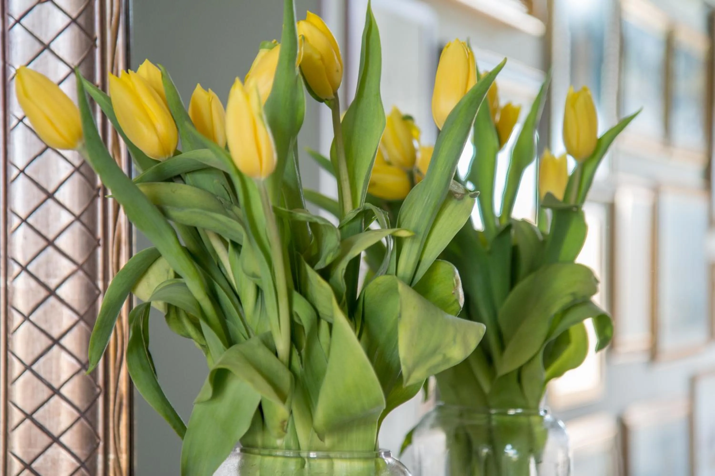 Restaurant/places to eat in Dimora Caiammari Luxury Hotel & Spa