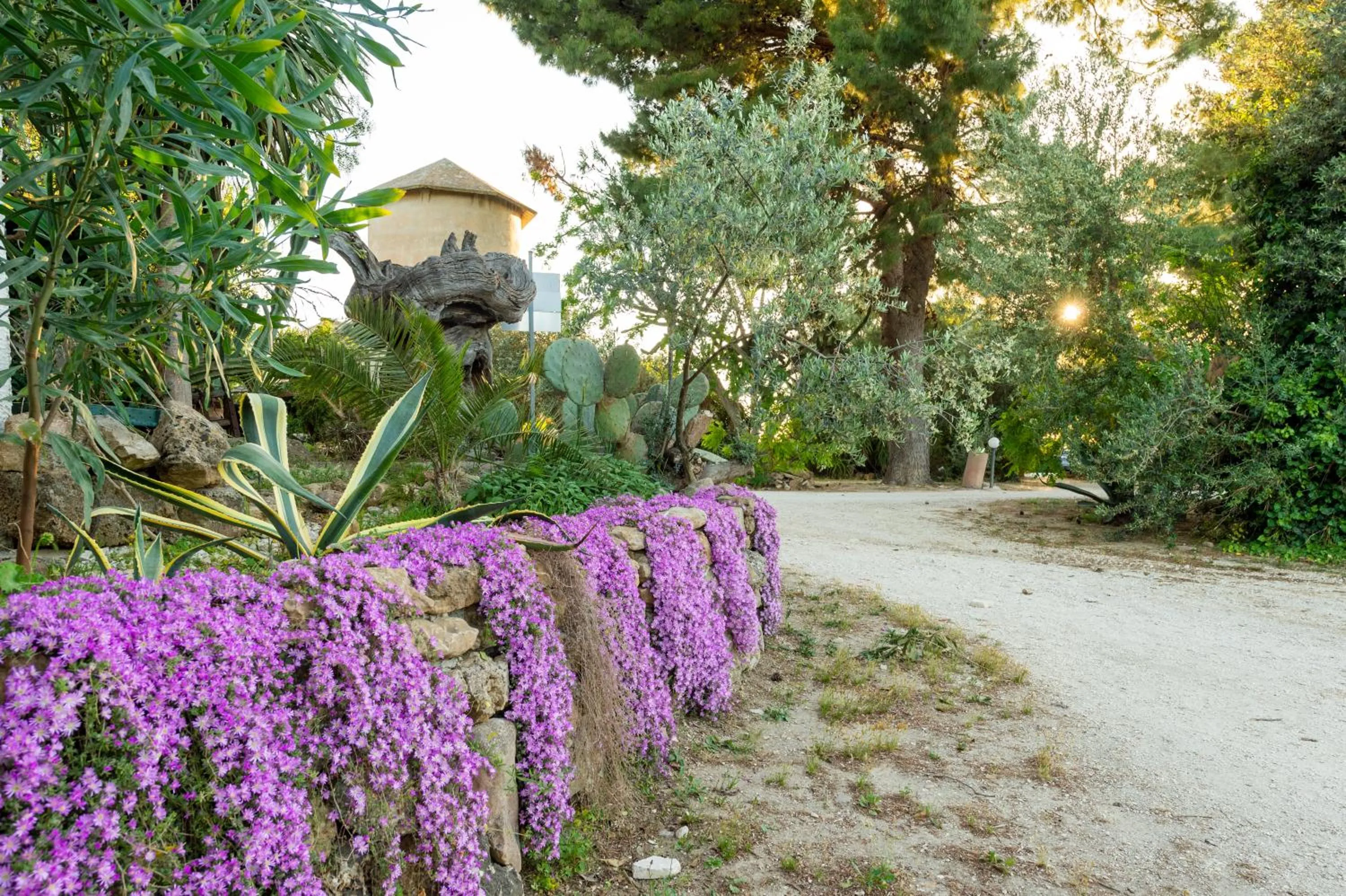 Property building in Duca di Castelmonte