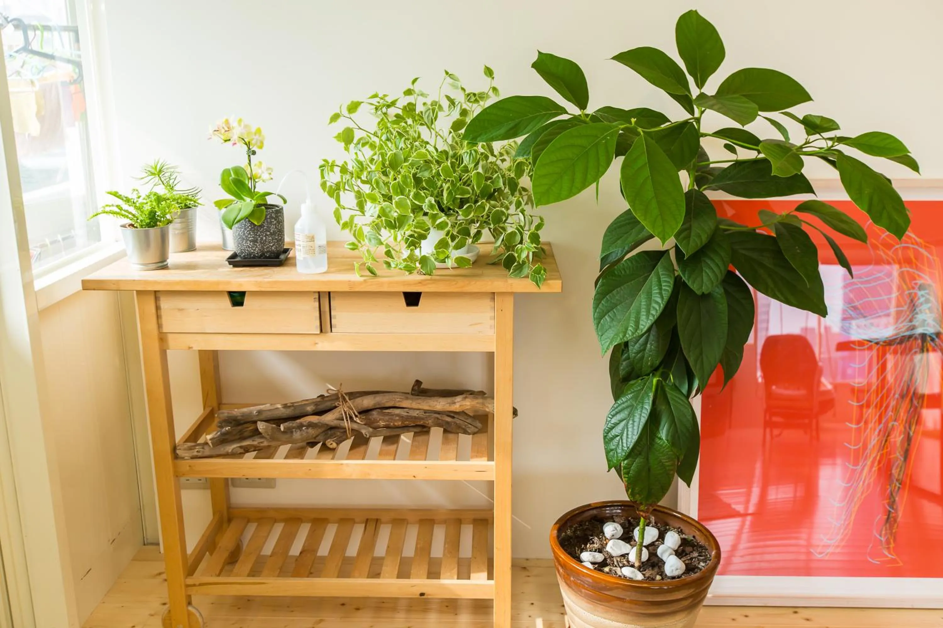 Communal lounge/ TV room in Mr. Lobster’s Secret Den design hostel