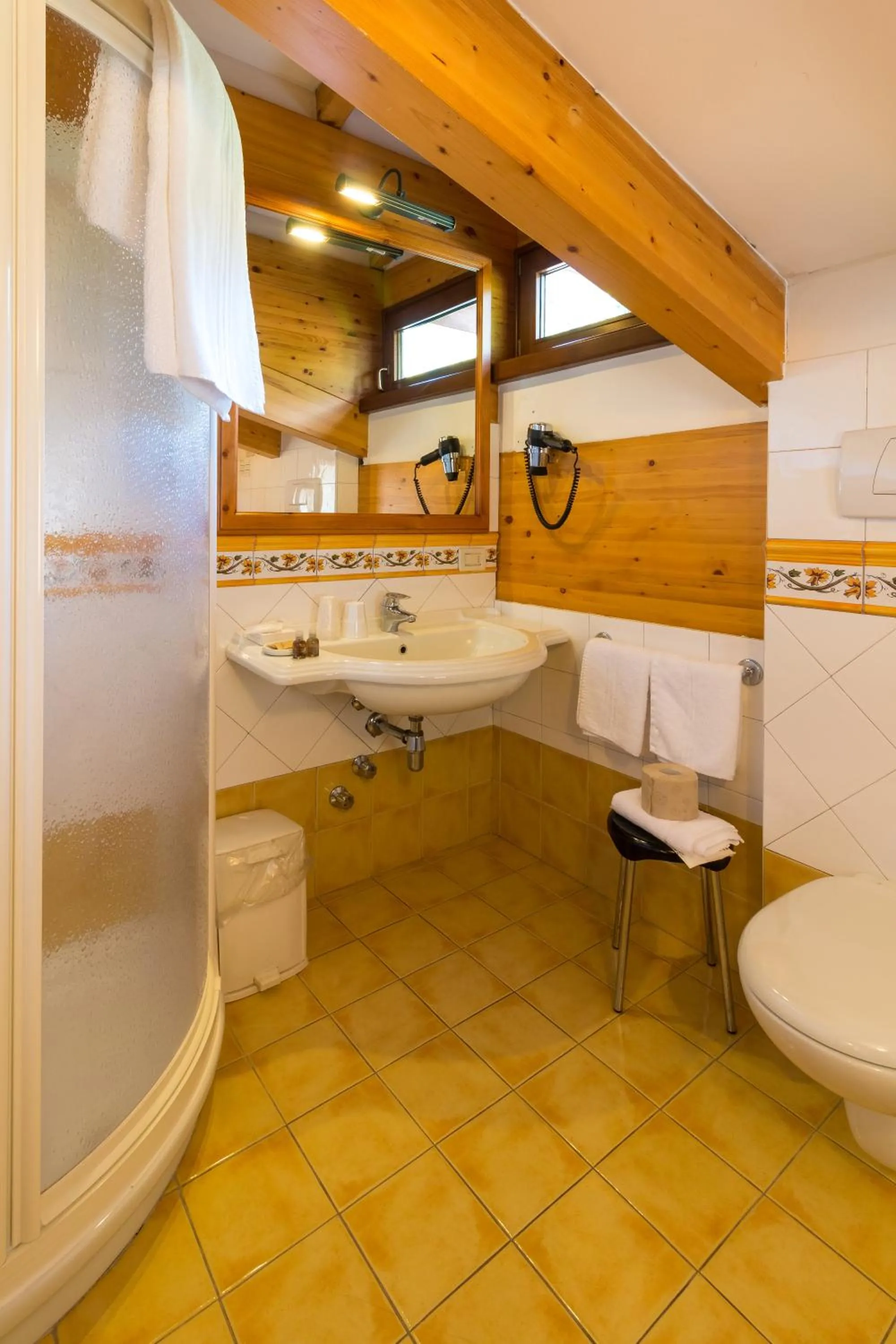 Shower in Hotel Bonapace ***S