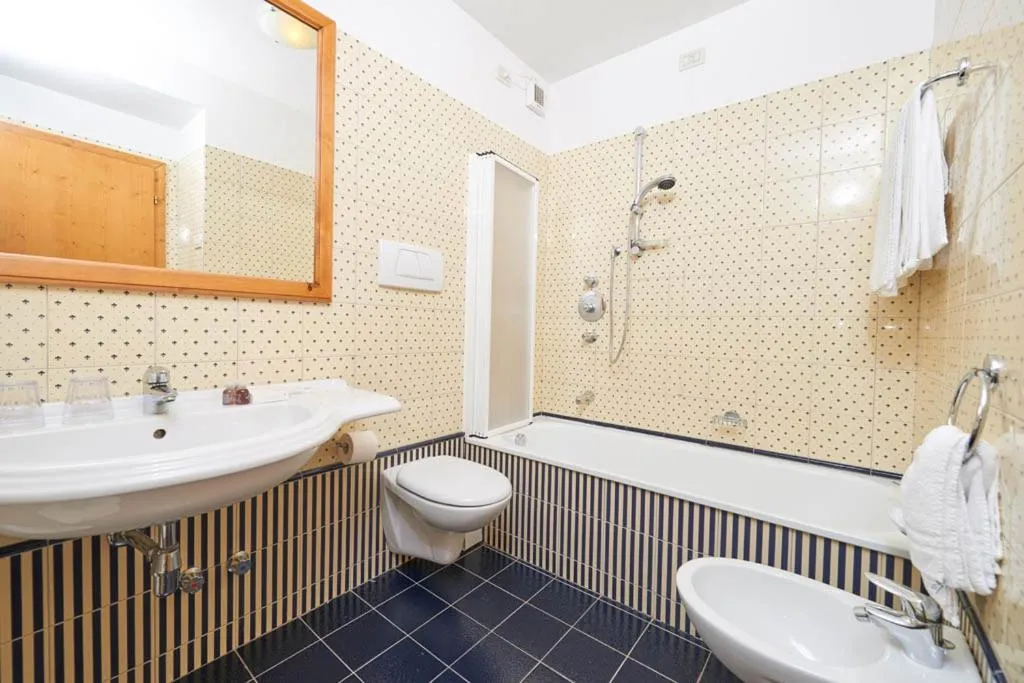 Toilet in Hotel Bonapace ***S