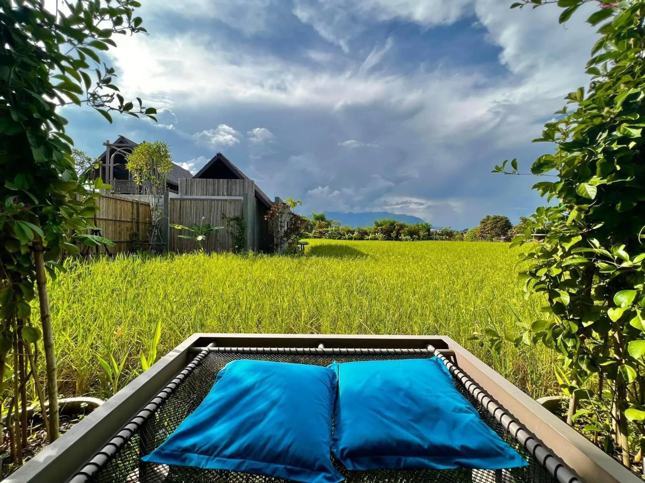 Natural landscape in Yatika Boutique Chiang Dao