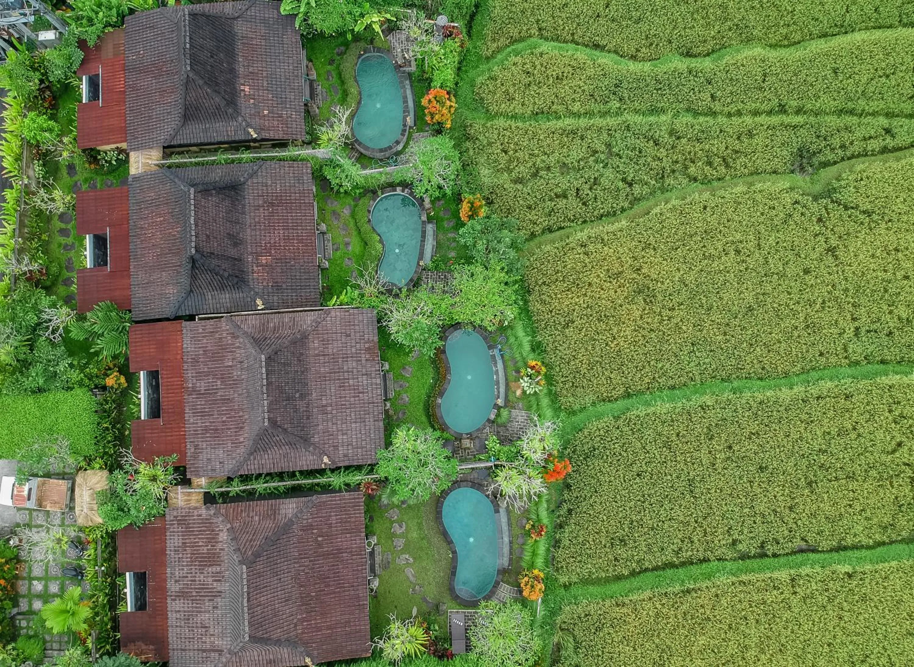 Bird's eye view in Wooden Ganeca Villas by GenuineHost