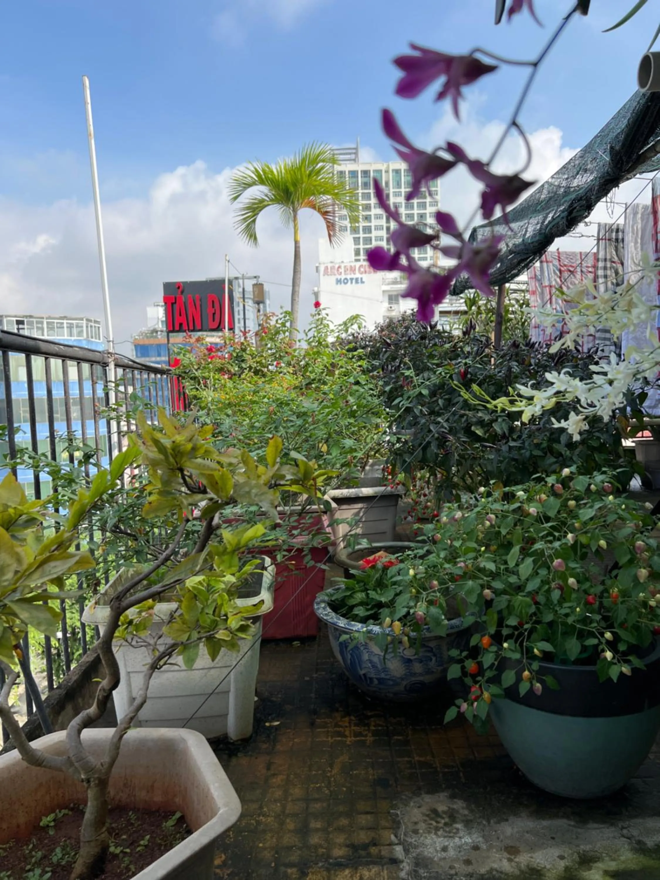 Balcony/Terrace in Tan Da Hotel