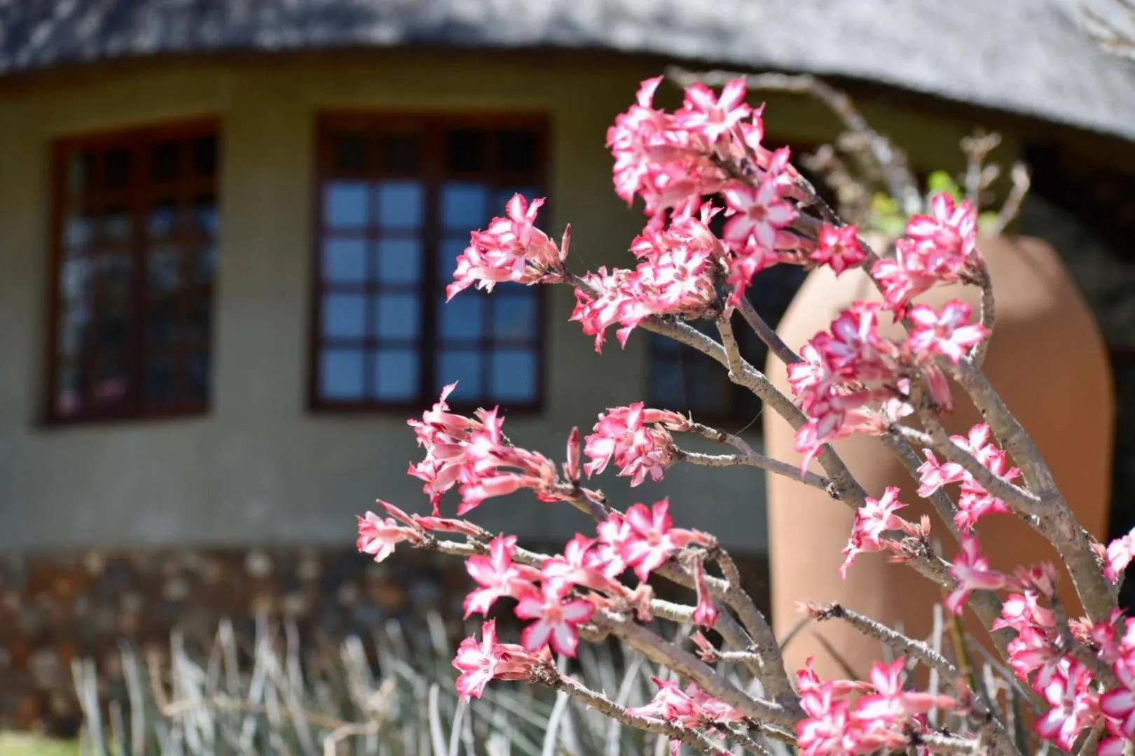 Property building in MILIMA Big 5 Safari Lodge