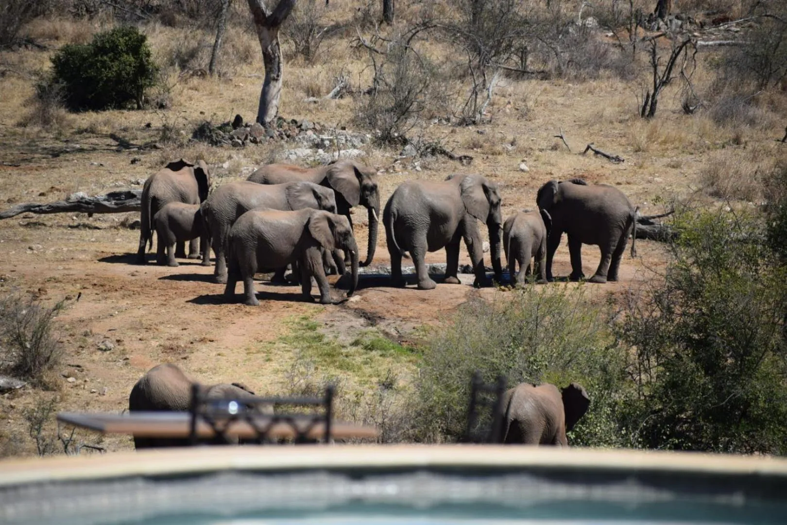 Day in MILIMA Big 5 Safari Lodge