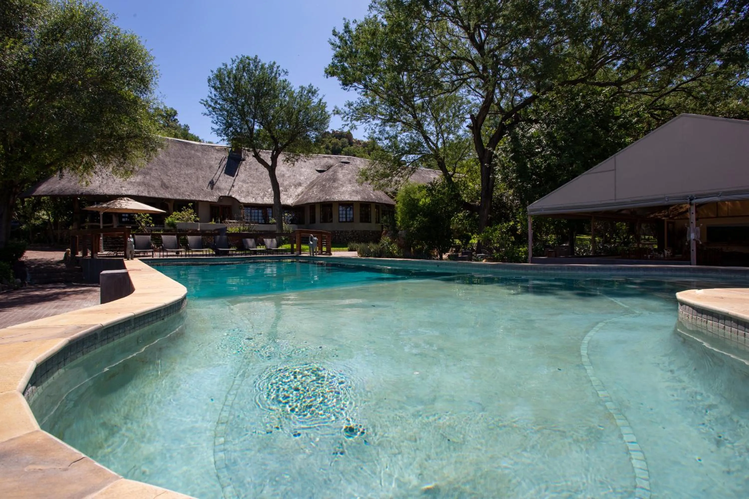 Day in MILIMA Big 5 Safari Lodge