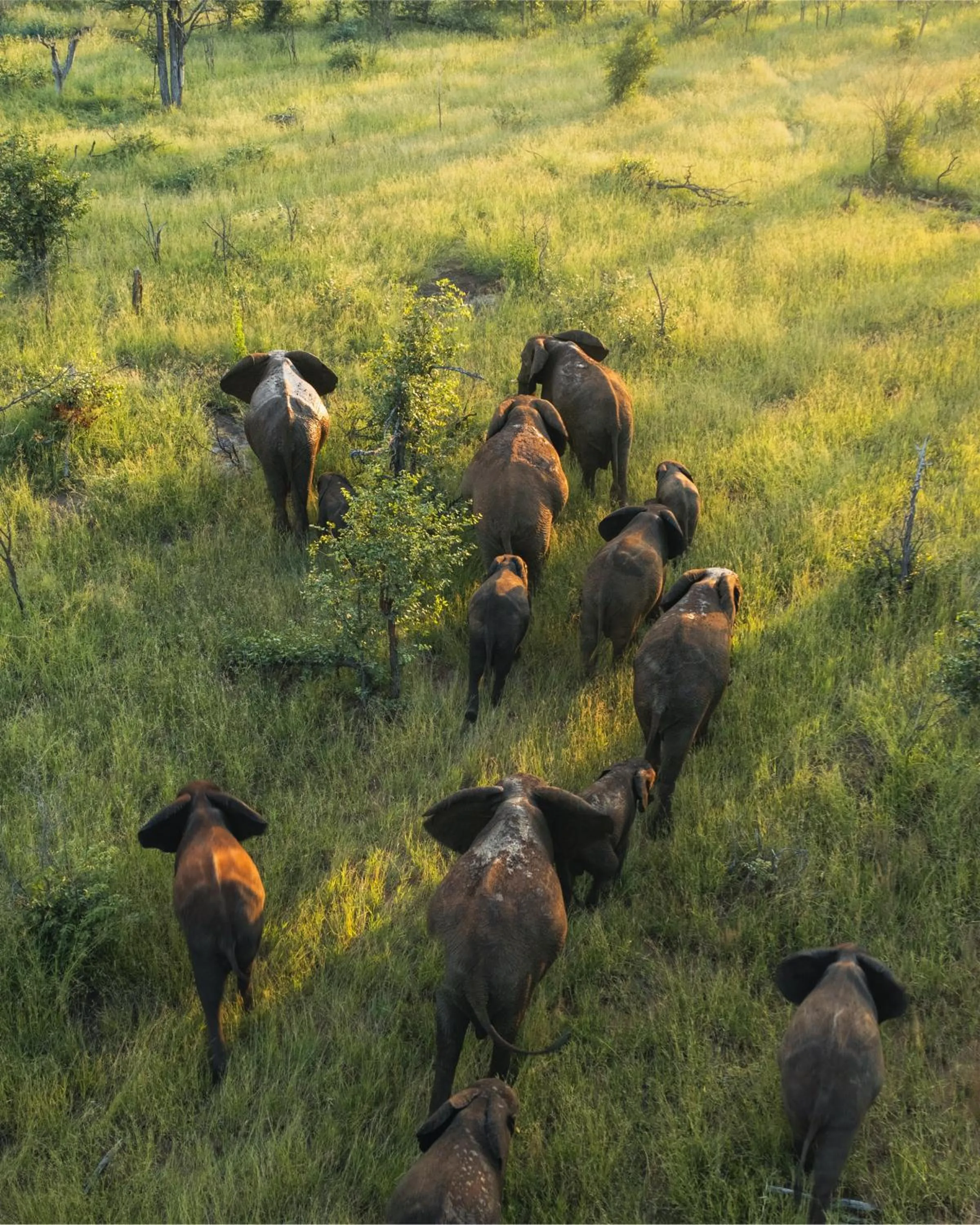 Day in MILIMA Big 5 Safari Lodge