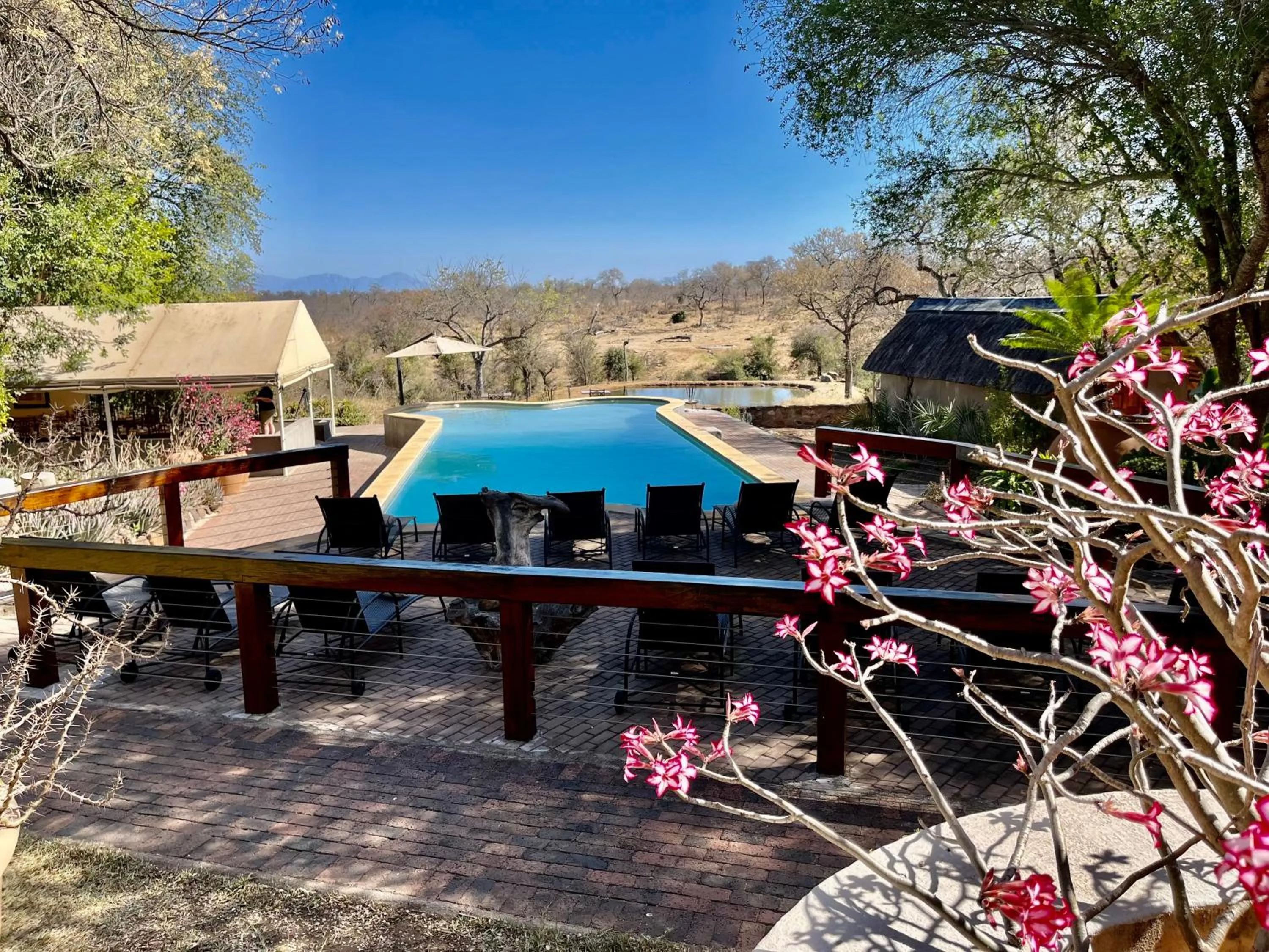 Day in MILIMA Big 5 Safari Lodge