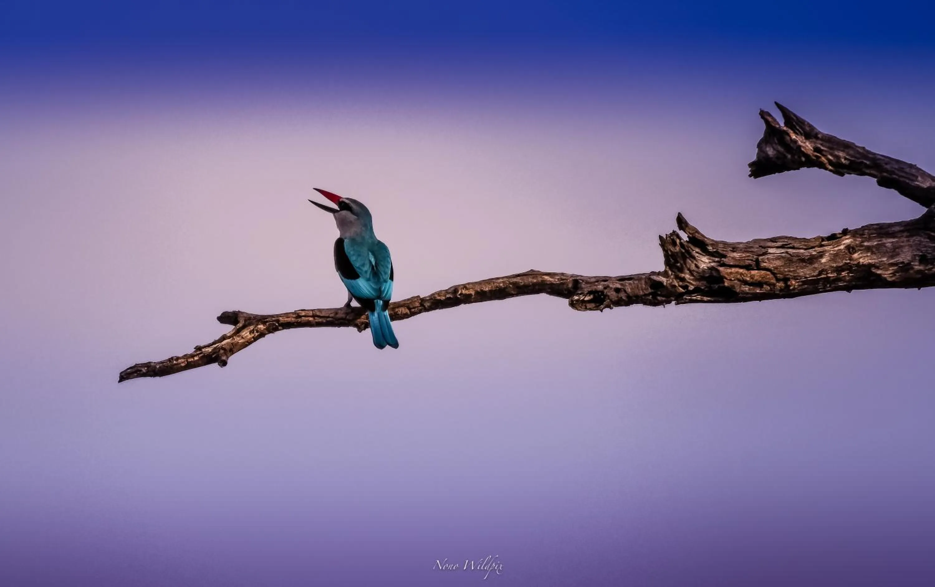 View (from property/room) in MILIMA Big 5 Safari Lodge