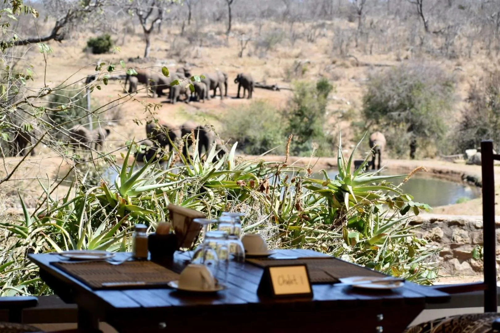 Restaurant/places to eat in MILIMA Big 5 Safari Lodge