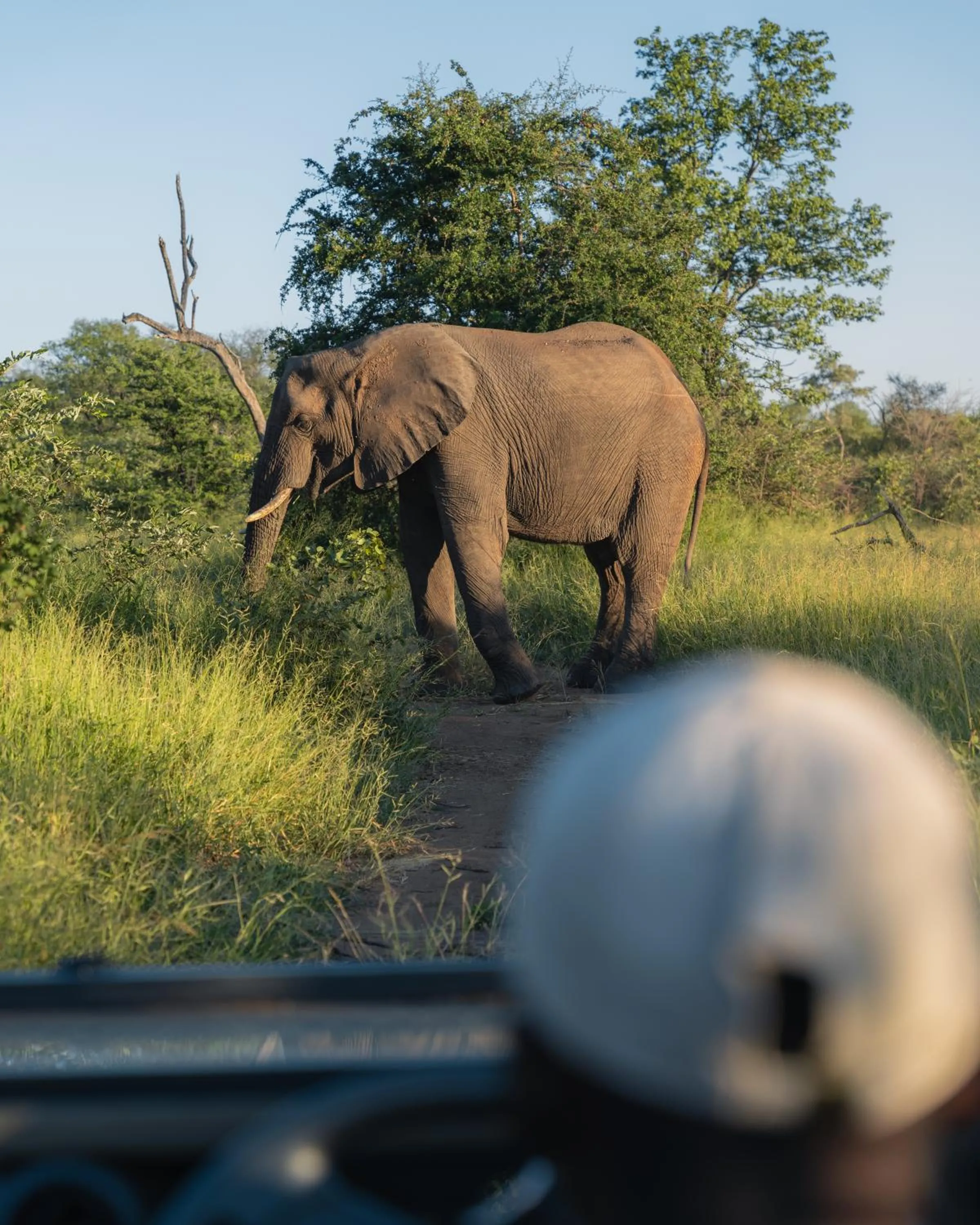 Day in MILIMA Big 5 Safari Lodge