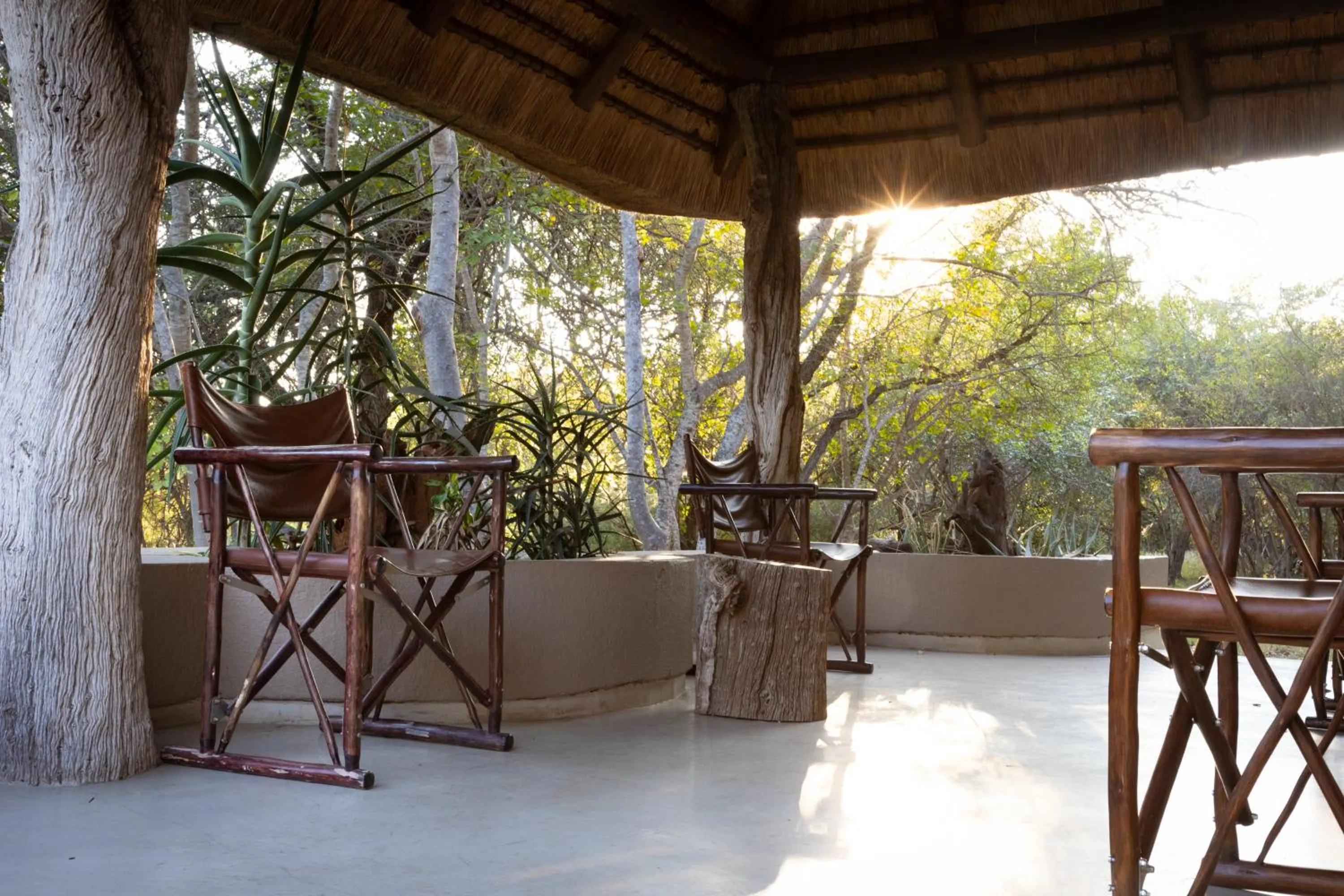 Patio in MILIMA Big 5 Safari Lodge