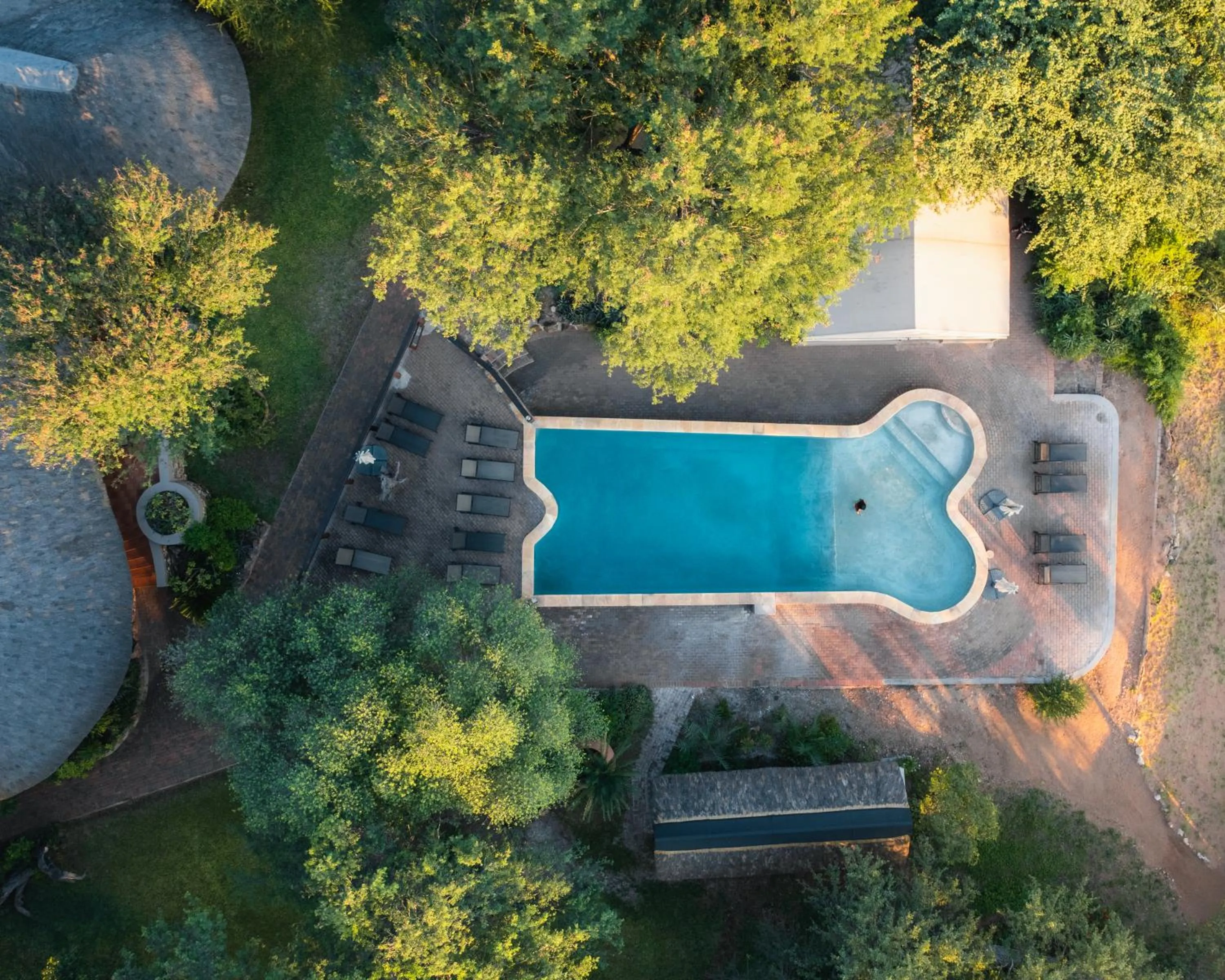 Day in MILIMA Big 5 Safari Lodge