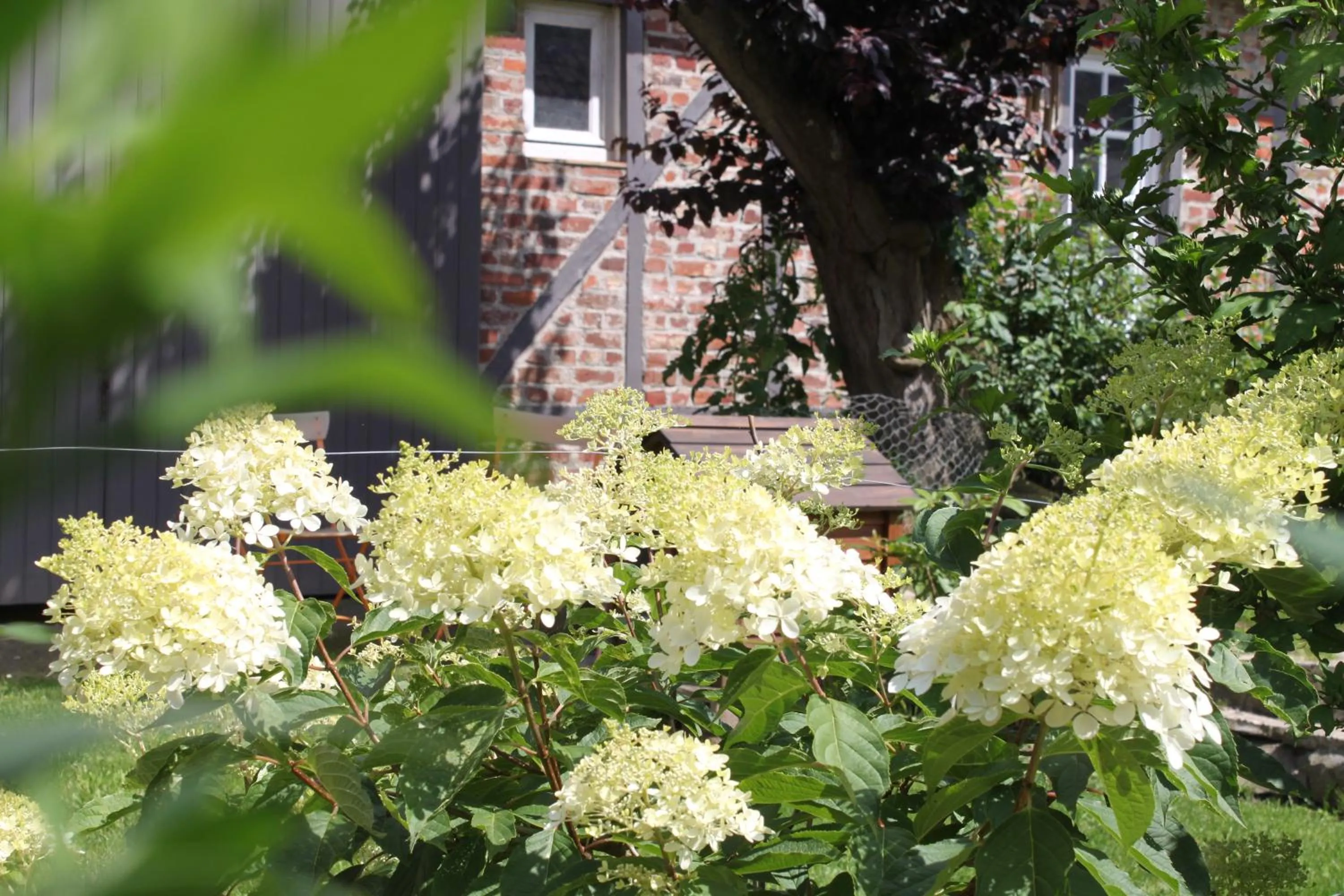 Spring in Chambres d'hôtes L'Aubaine avec jacuzzi