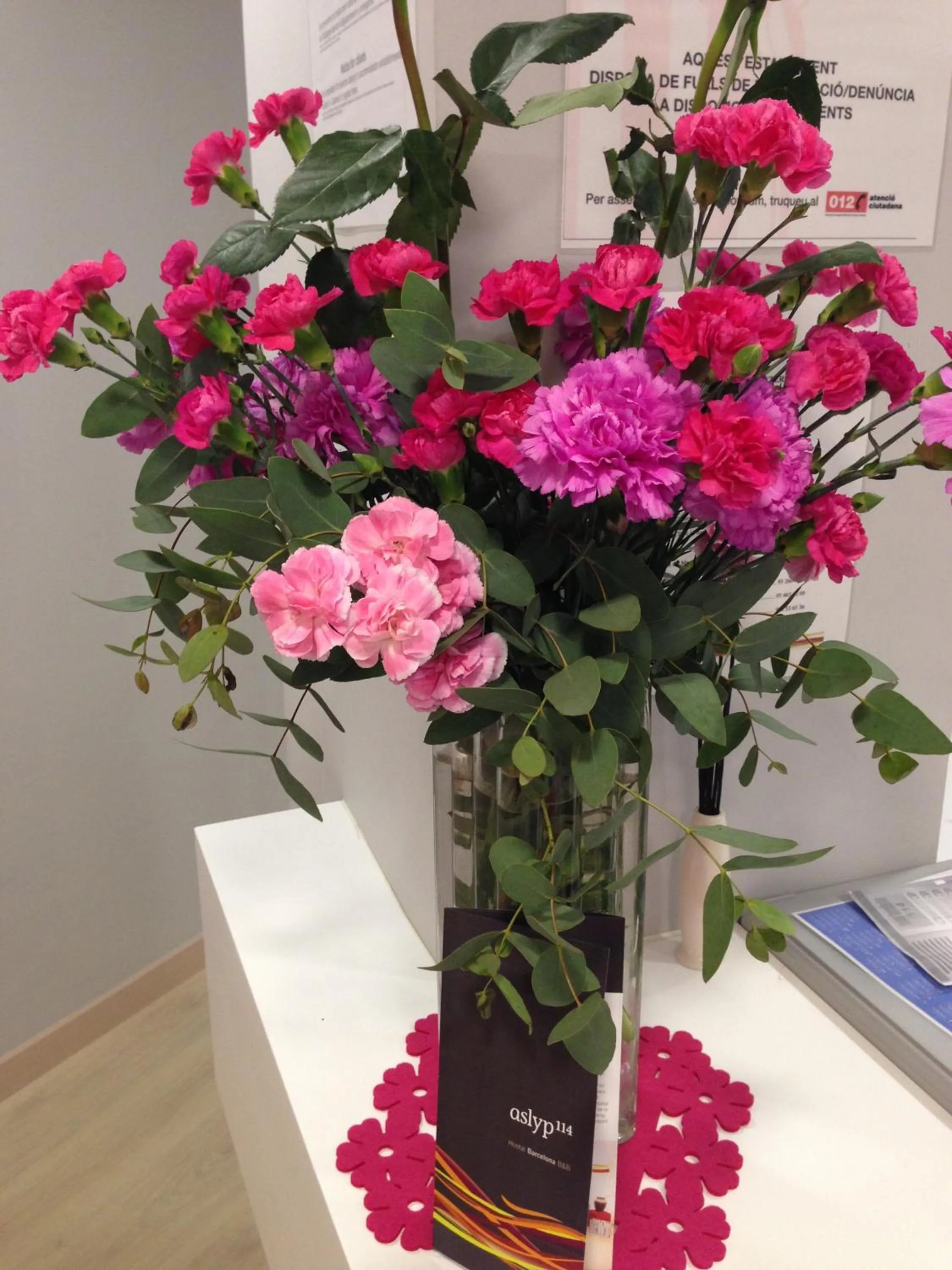 Other in Hostal Aslyp 114