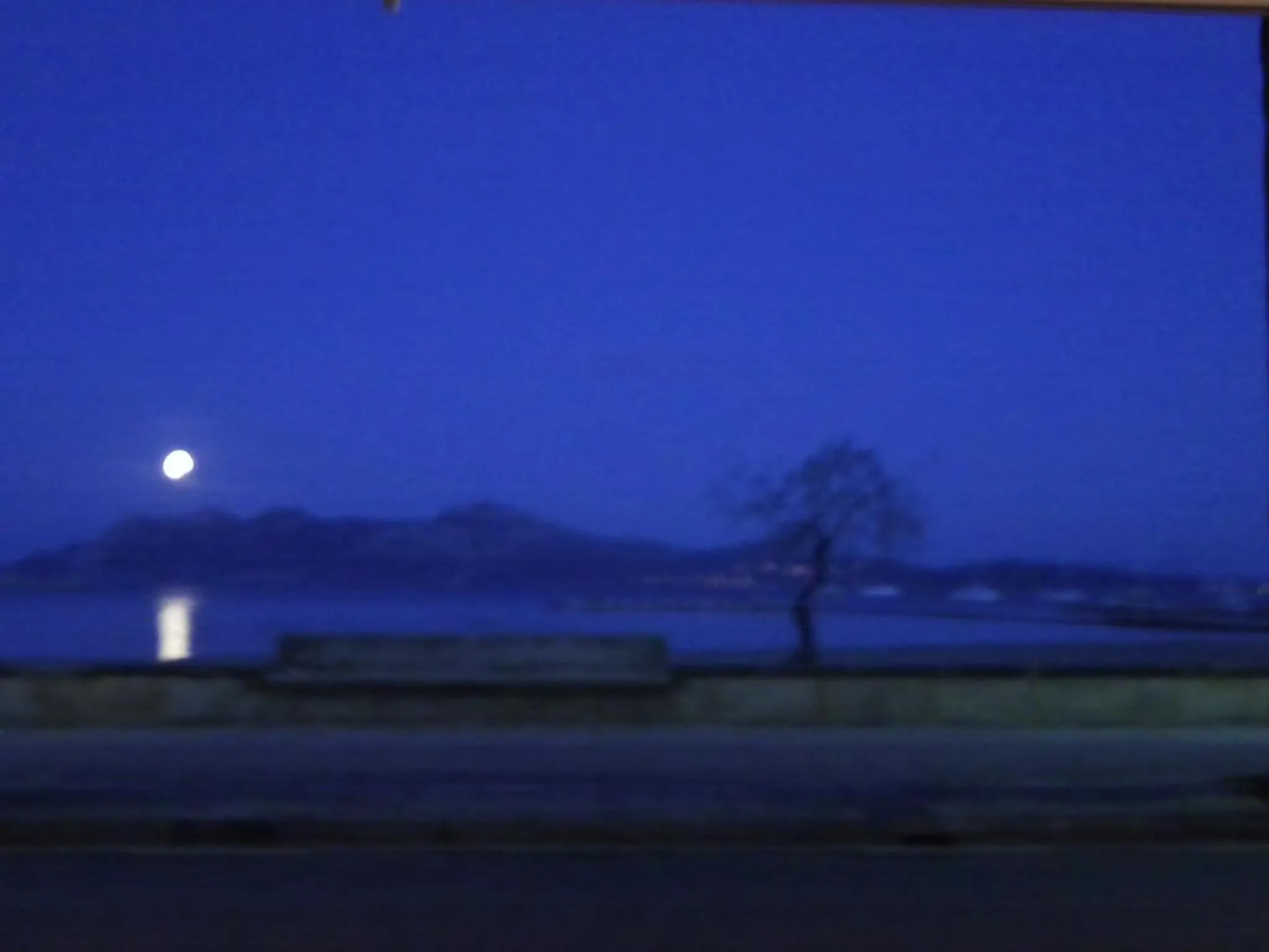 Natural landscape in Apartamentos Llevant