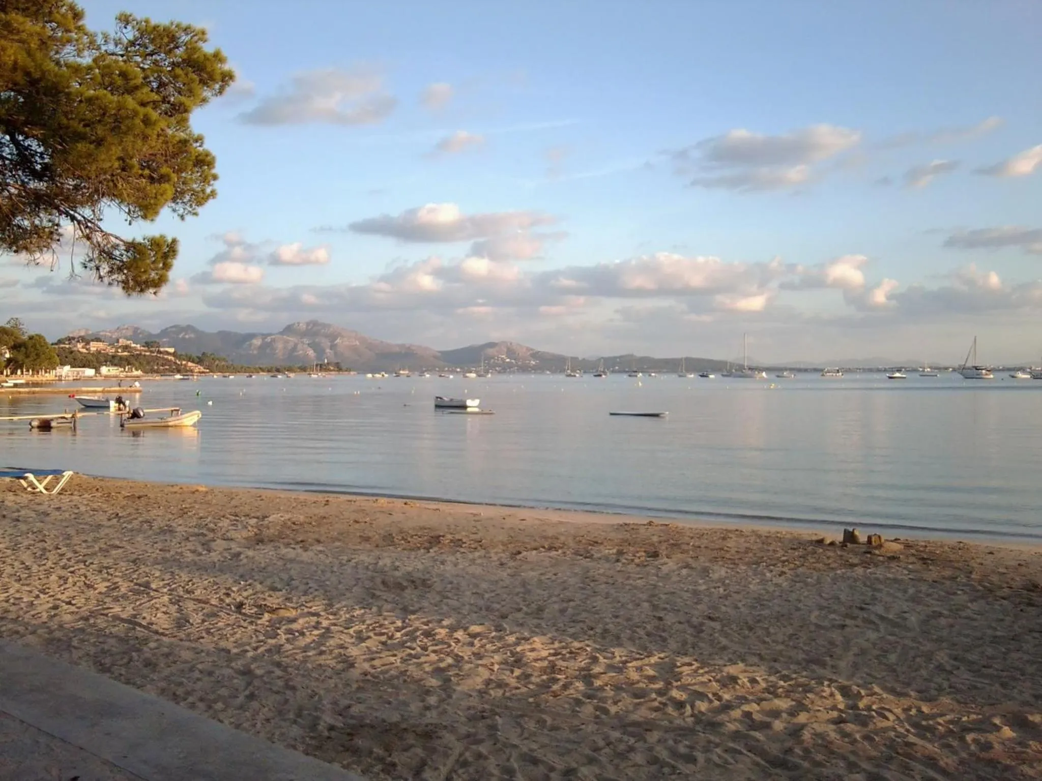 Beach in Apartamentos Llevant