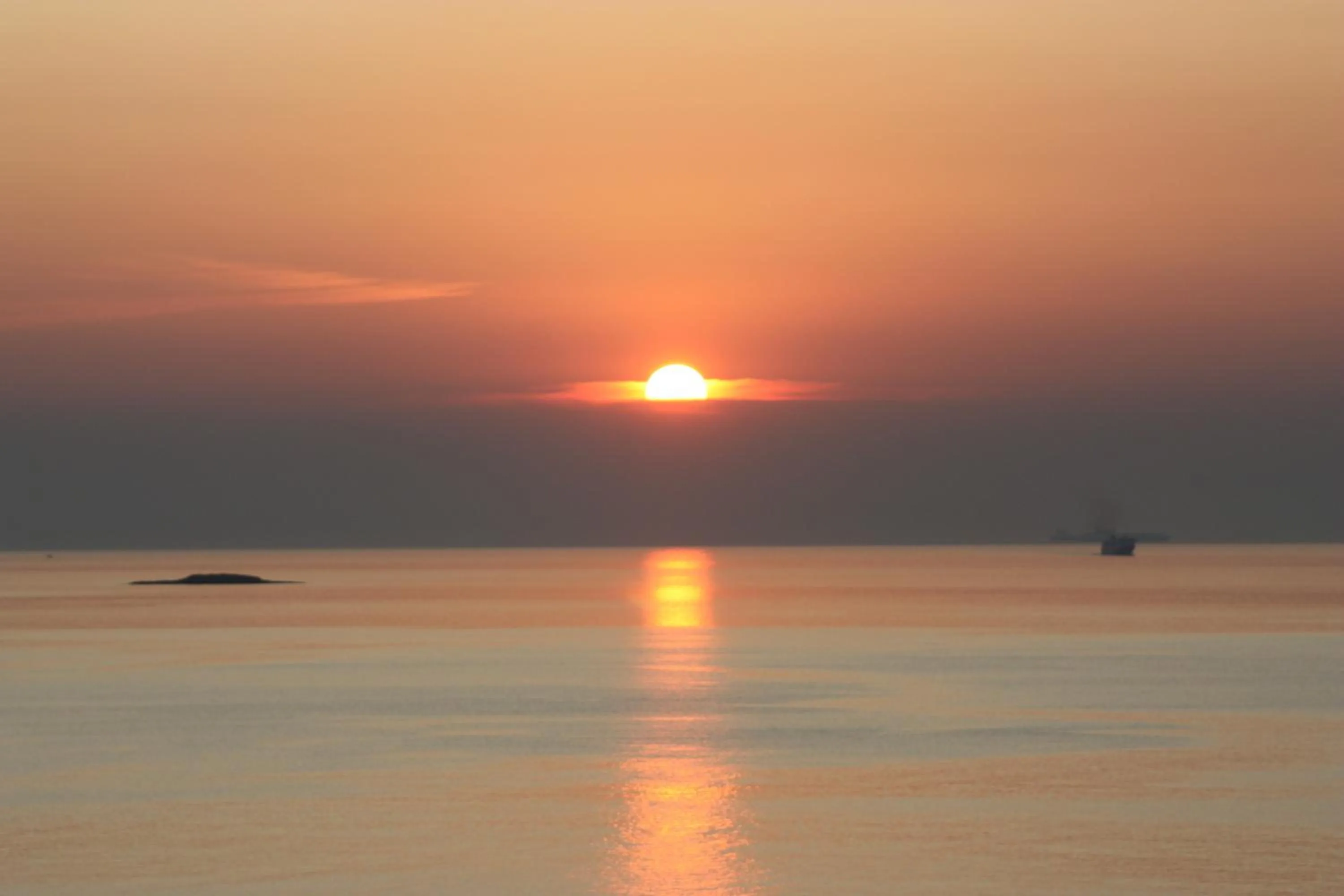 View (from property/room) in Bella Vista