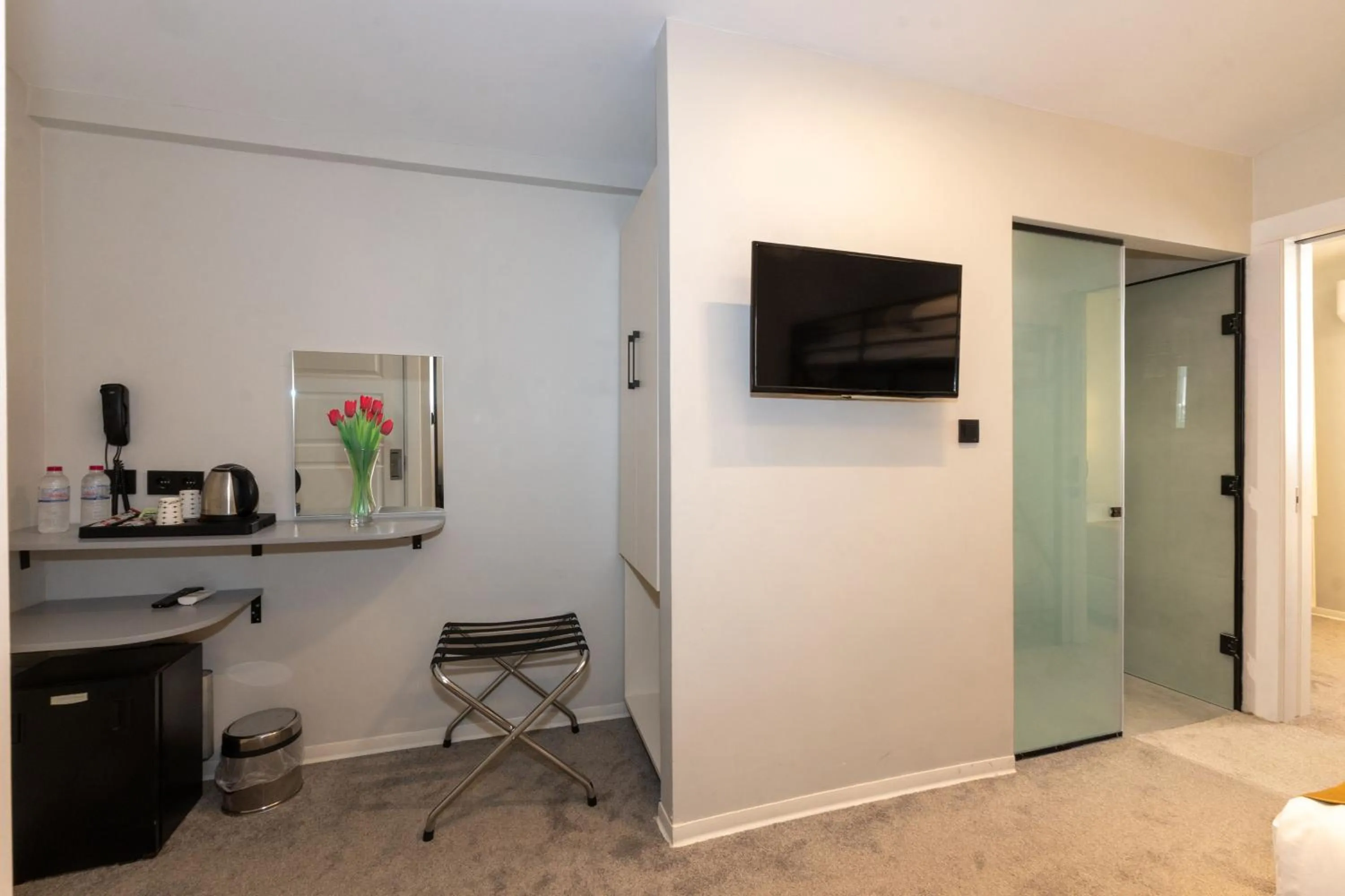 TV and multimedia in Istanbul Holiday Hotel