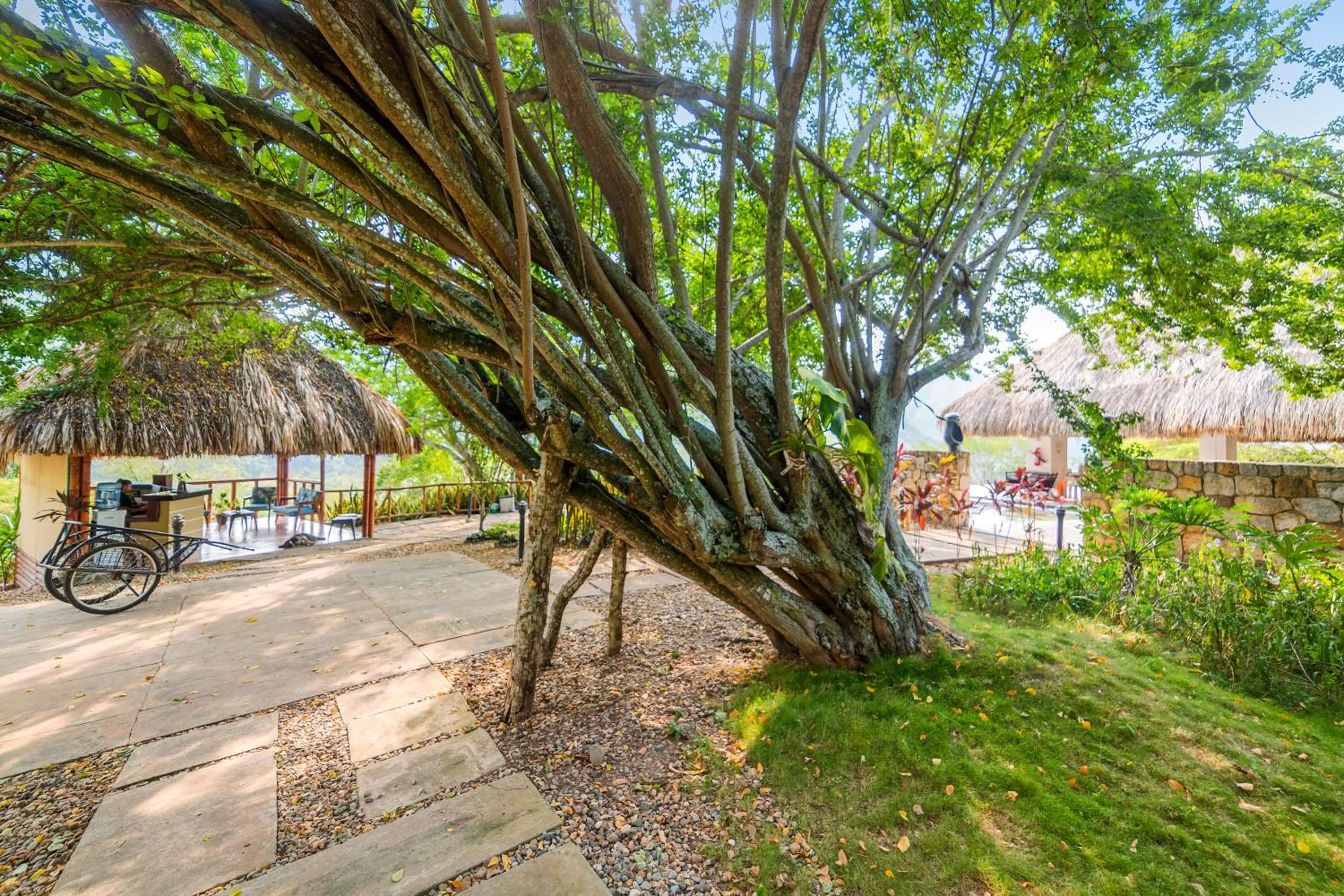 Garden in Entremonte Wellness Hotel and Spa