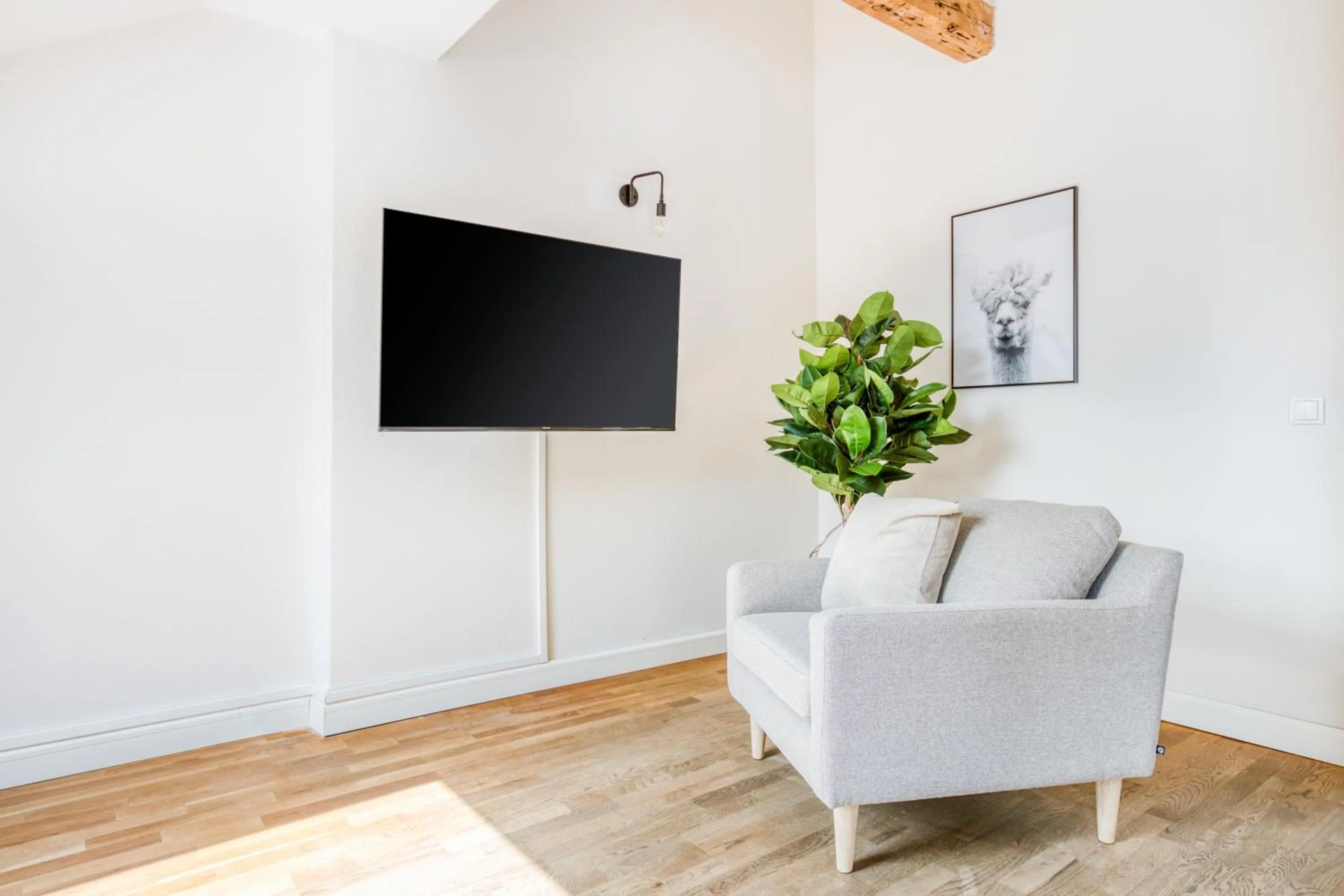 TV and multimedia in Schoenhouse City Street