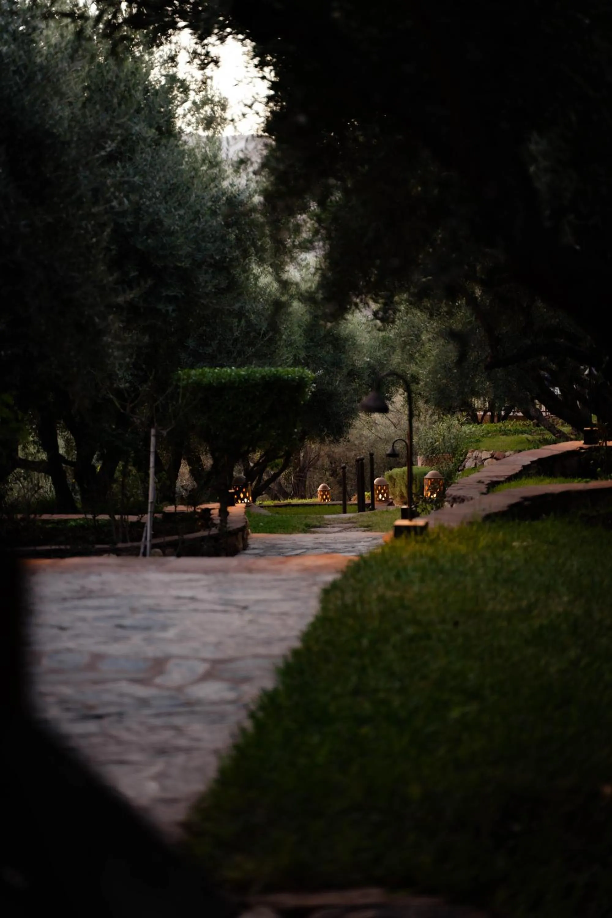 Garden in Olinto, Atlas Mountain Retreat - adults only