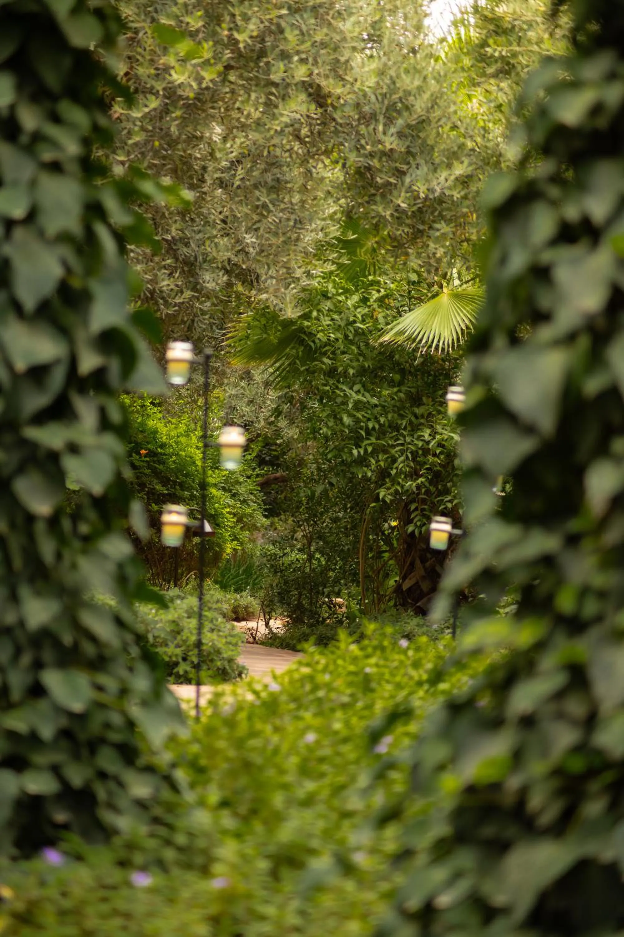 Garden in Olinto, Atlas Mountain Retreat - adults only