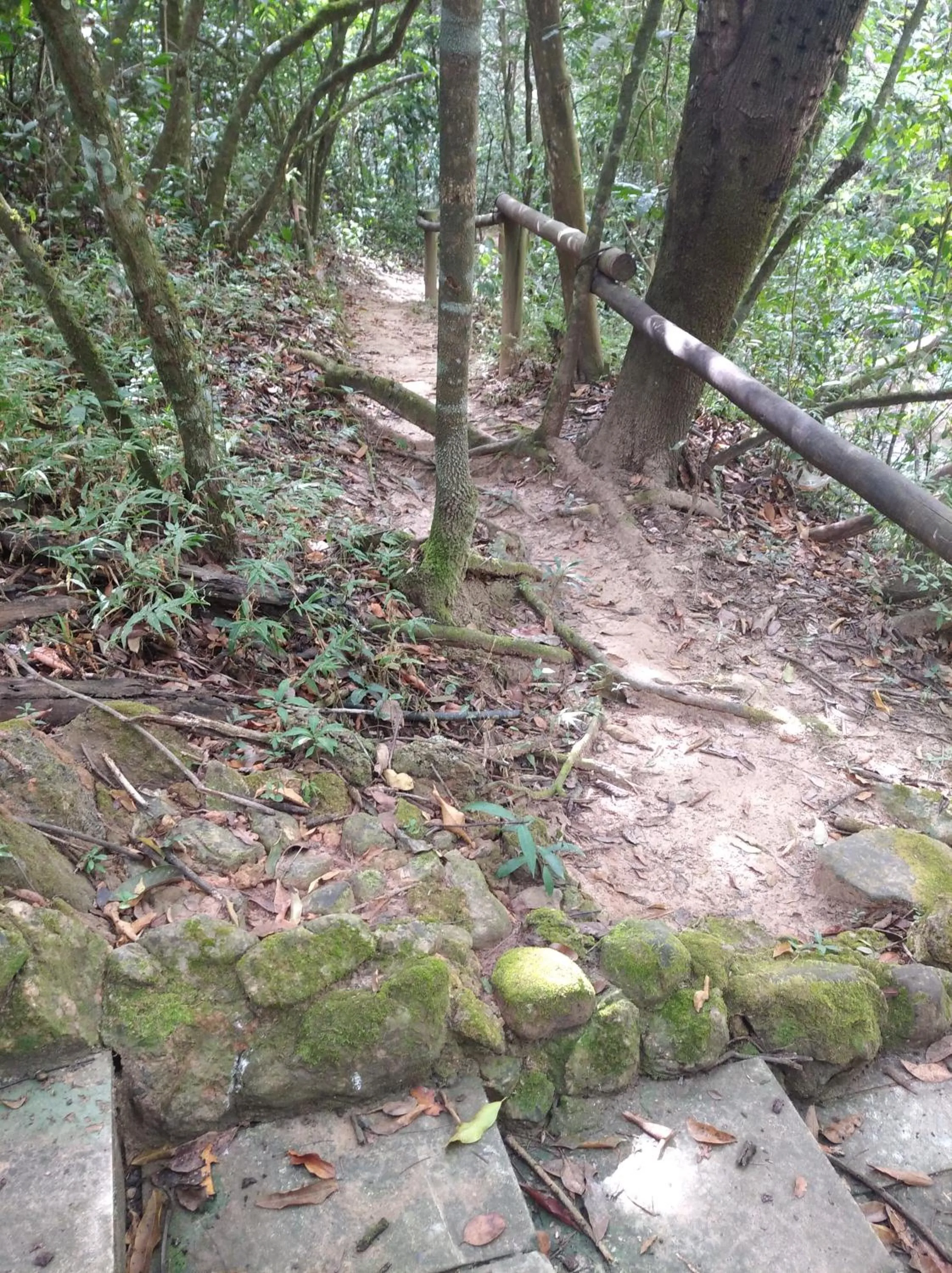 Natural landscape in Ecologic Ville Resort - Oficial