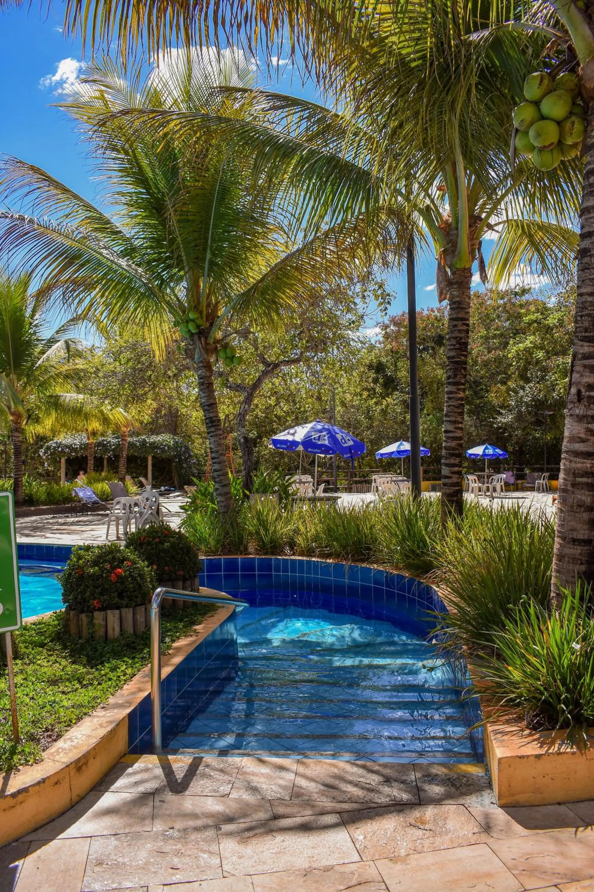 Pool view in Ecologic Ville Resort - Oficial