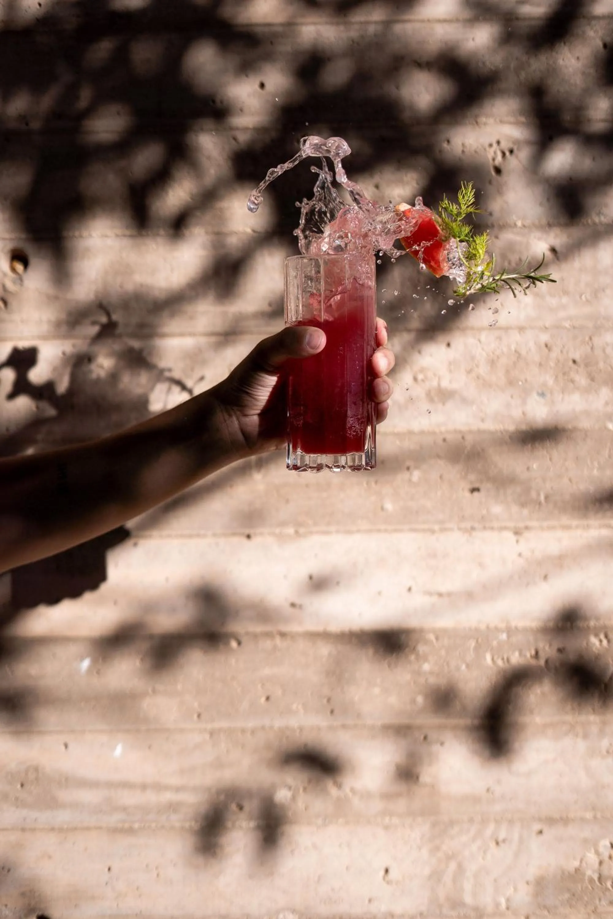 Restaurant/places to eat in Encuentro Guadalupe