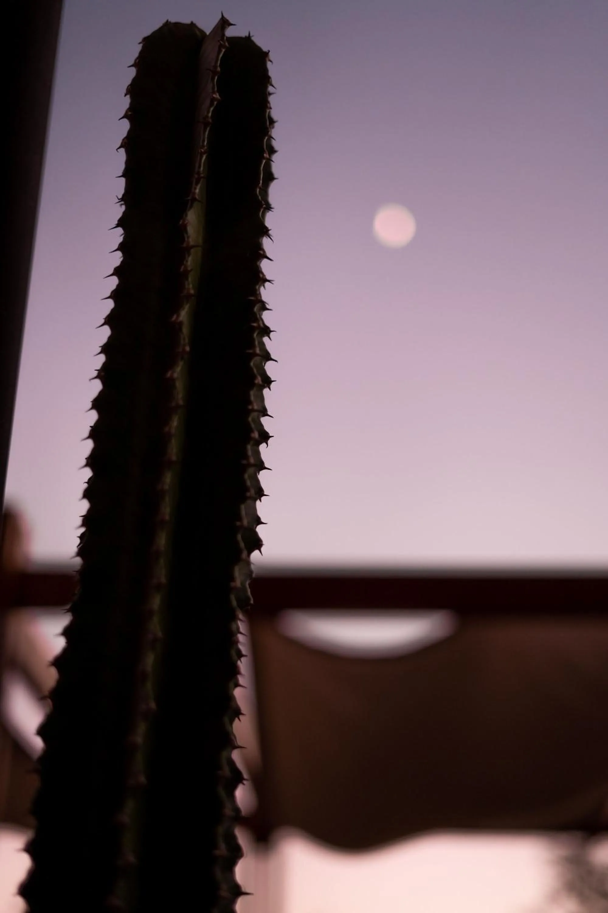 Natural landscape in Encuentro Guadalupe