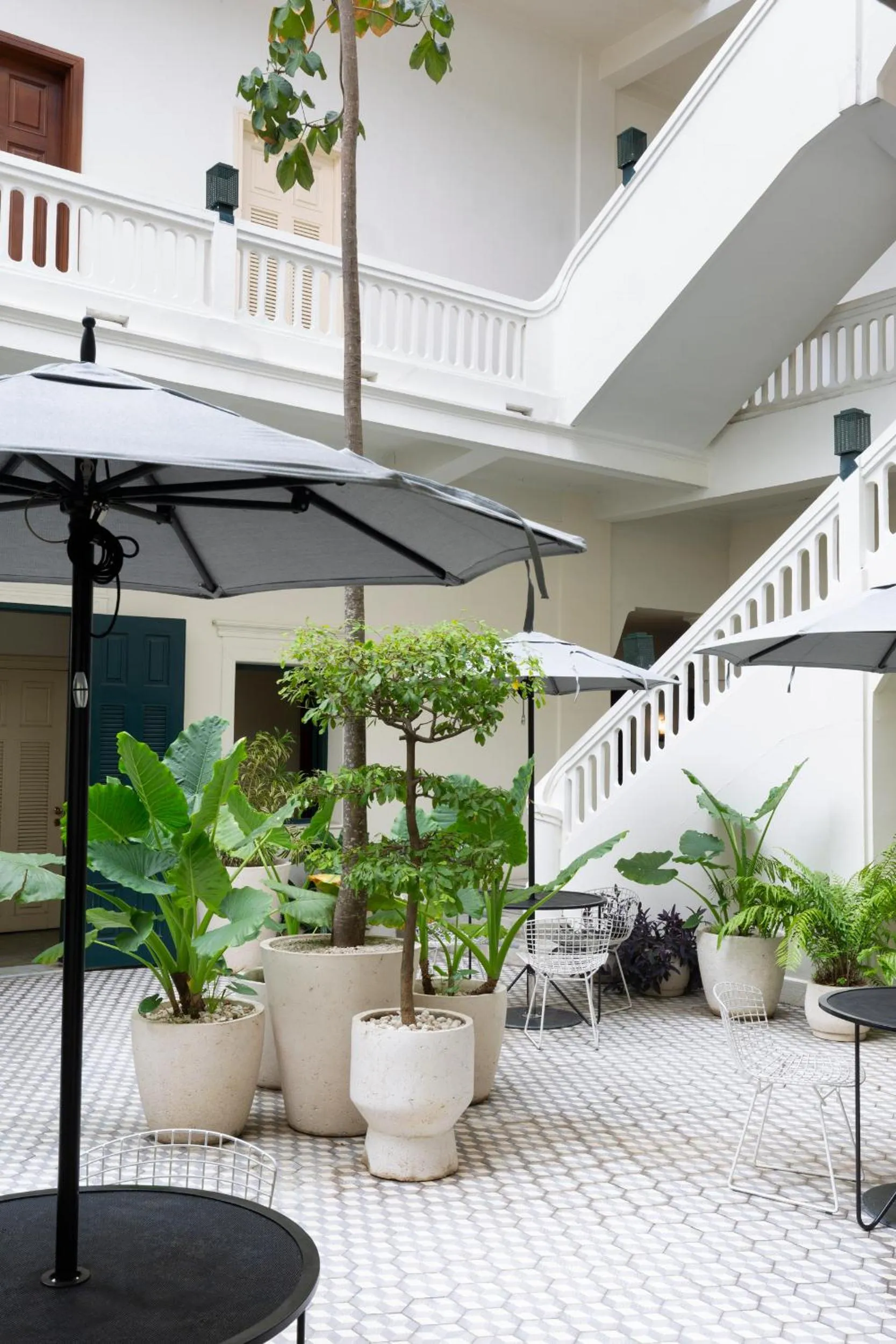 Garden in American Trade Hotel