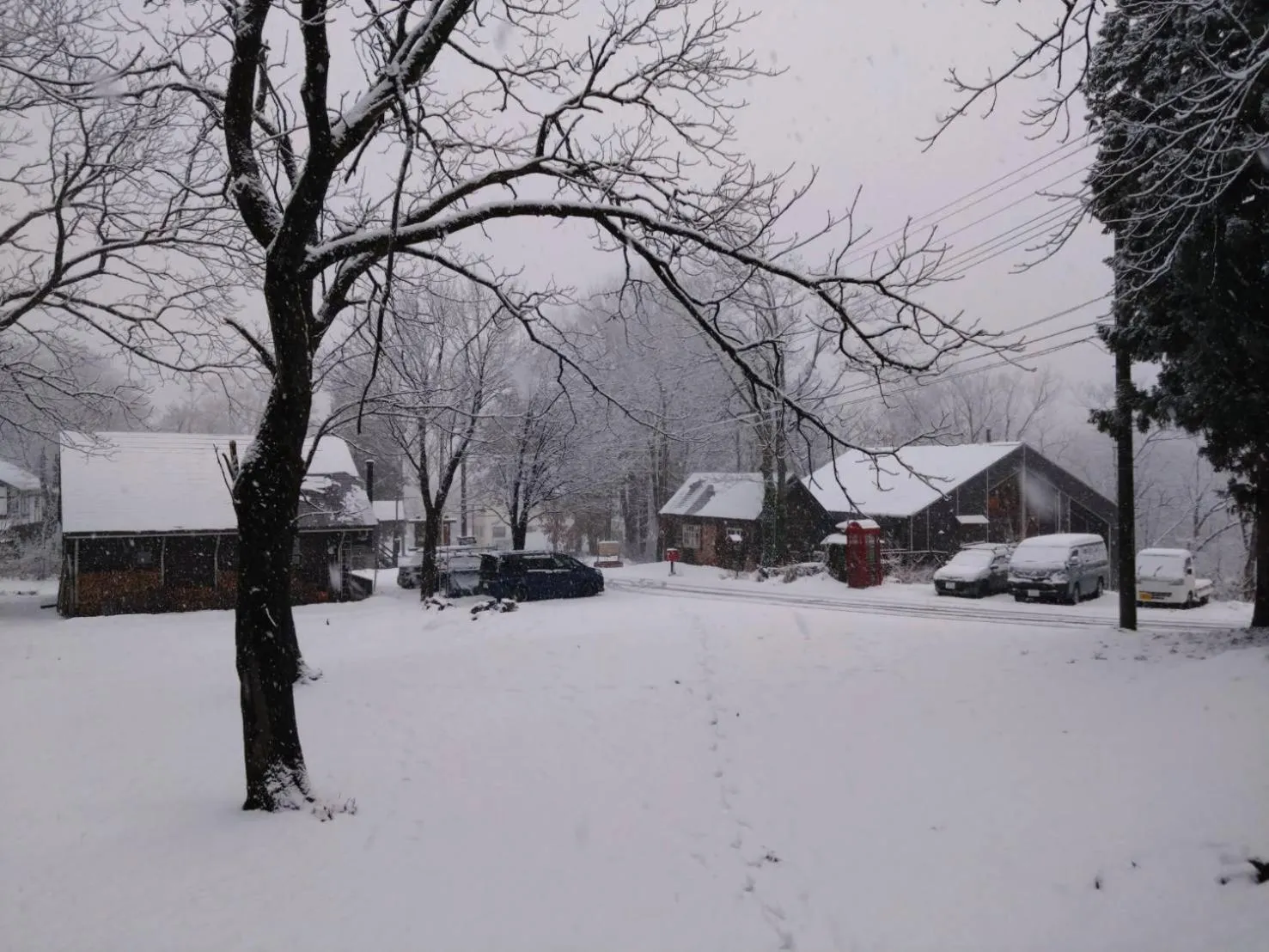 Property building in Woody House Kazamidori