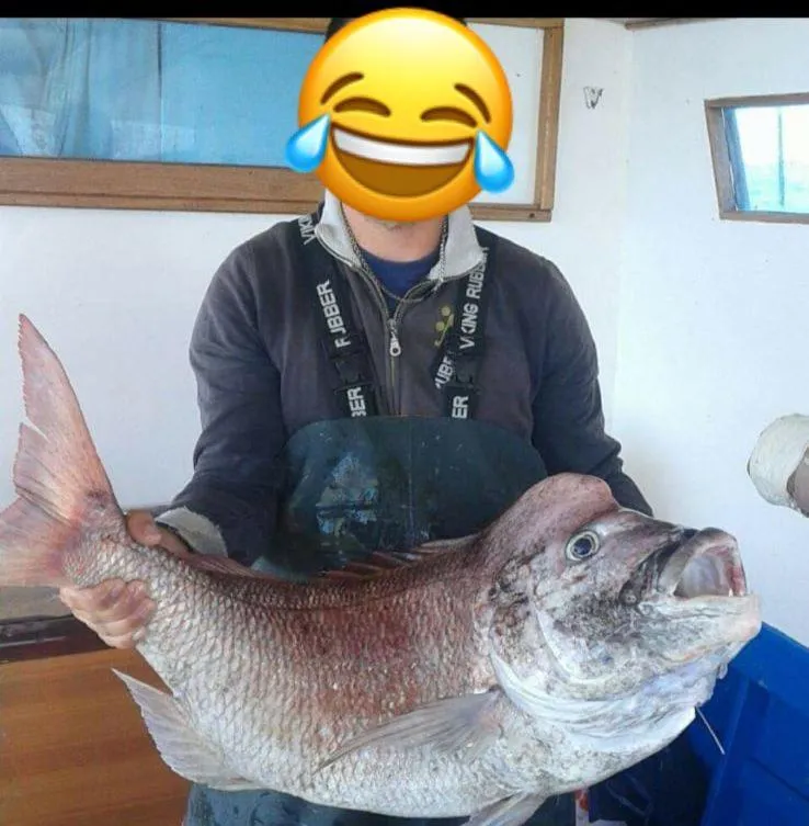 Fishing in IL GIGLIO B&B