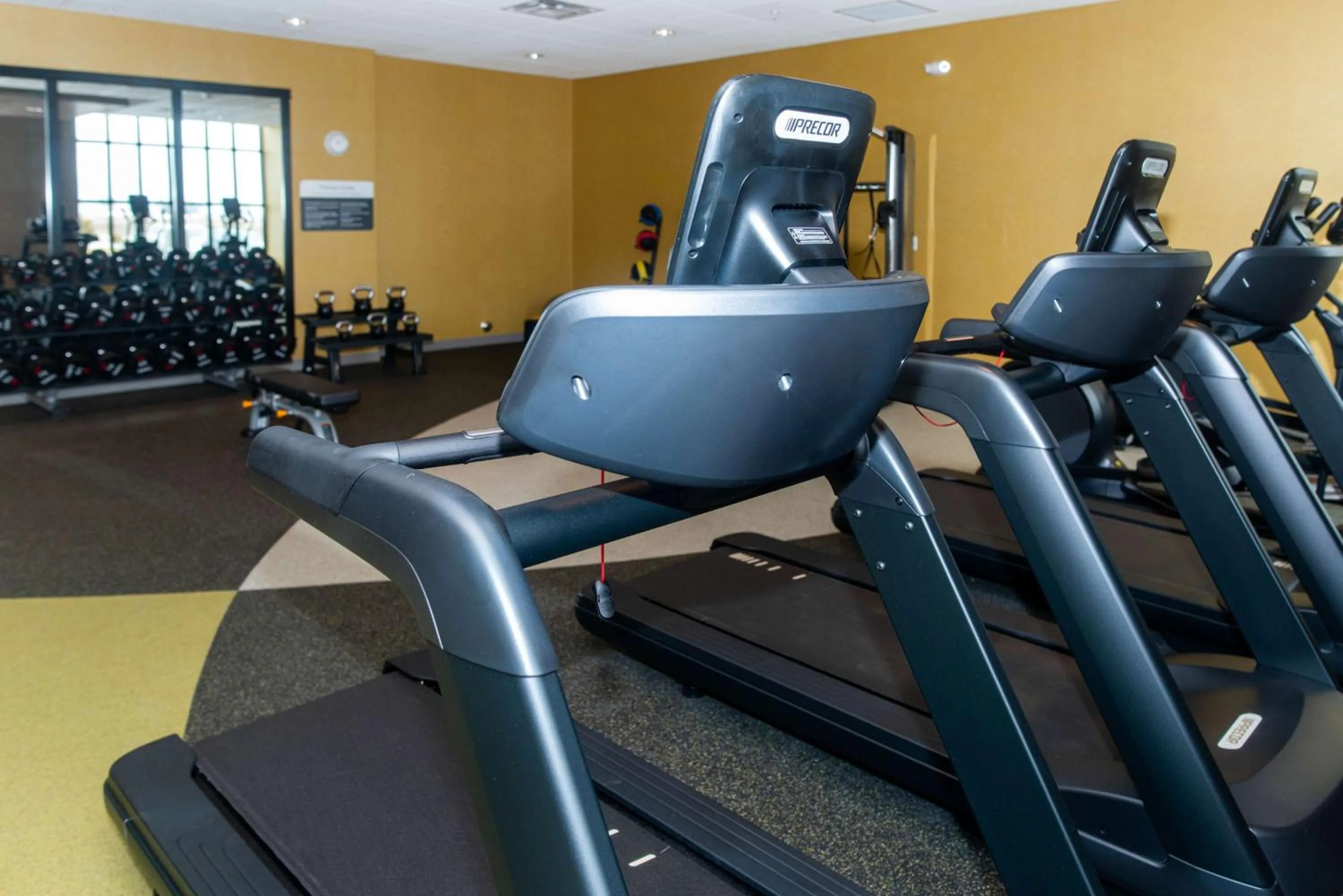 Fitness centre/facilities in Hilton Garden Inn Mattoon, IL