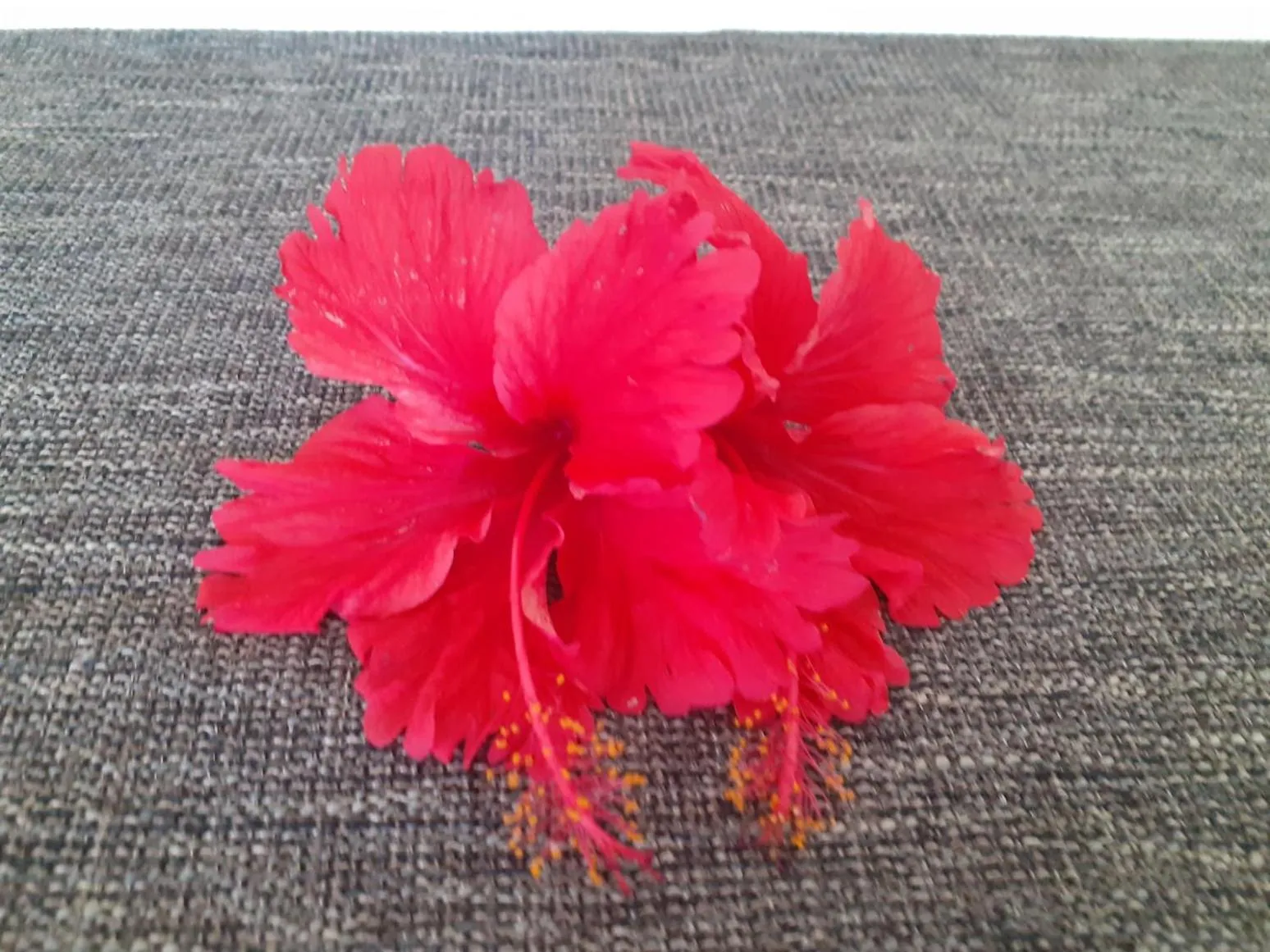 Garden in Kaila Na Ua Resort