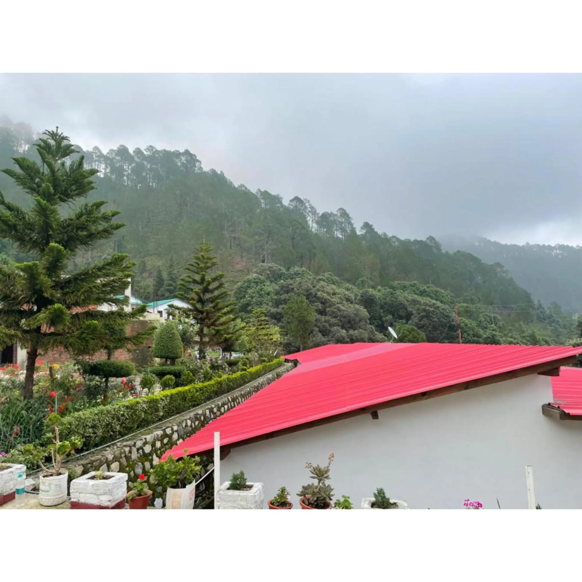 Mountain view in Just Naturals Wellness Resort Nainital