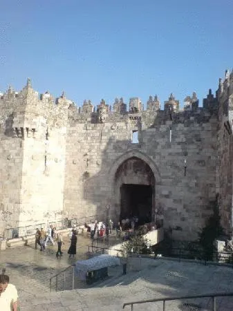 Area and facilities in Addar Hotel