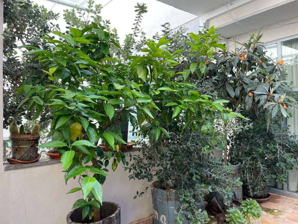 BOMBAYARTE APARTHOTEL TARIFA