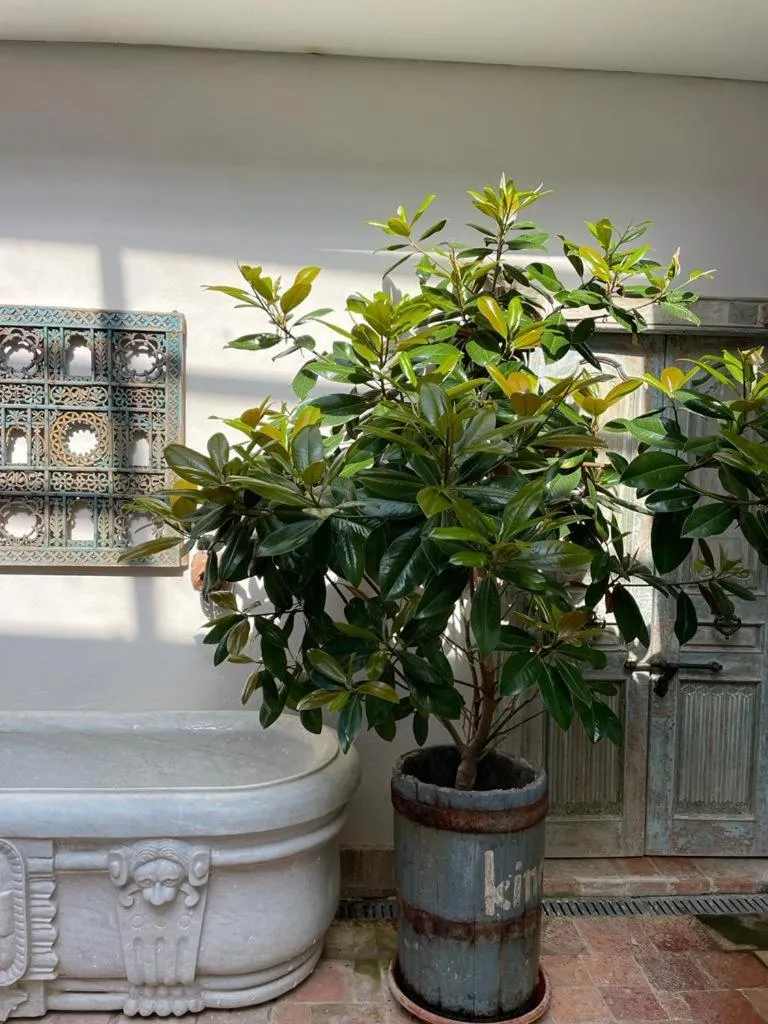 BOMBAYARTE APARTHOTEL TARIFA