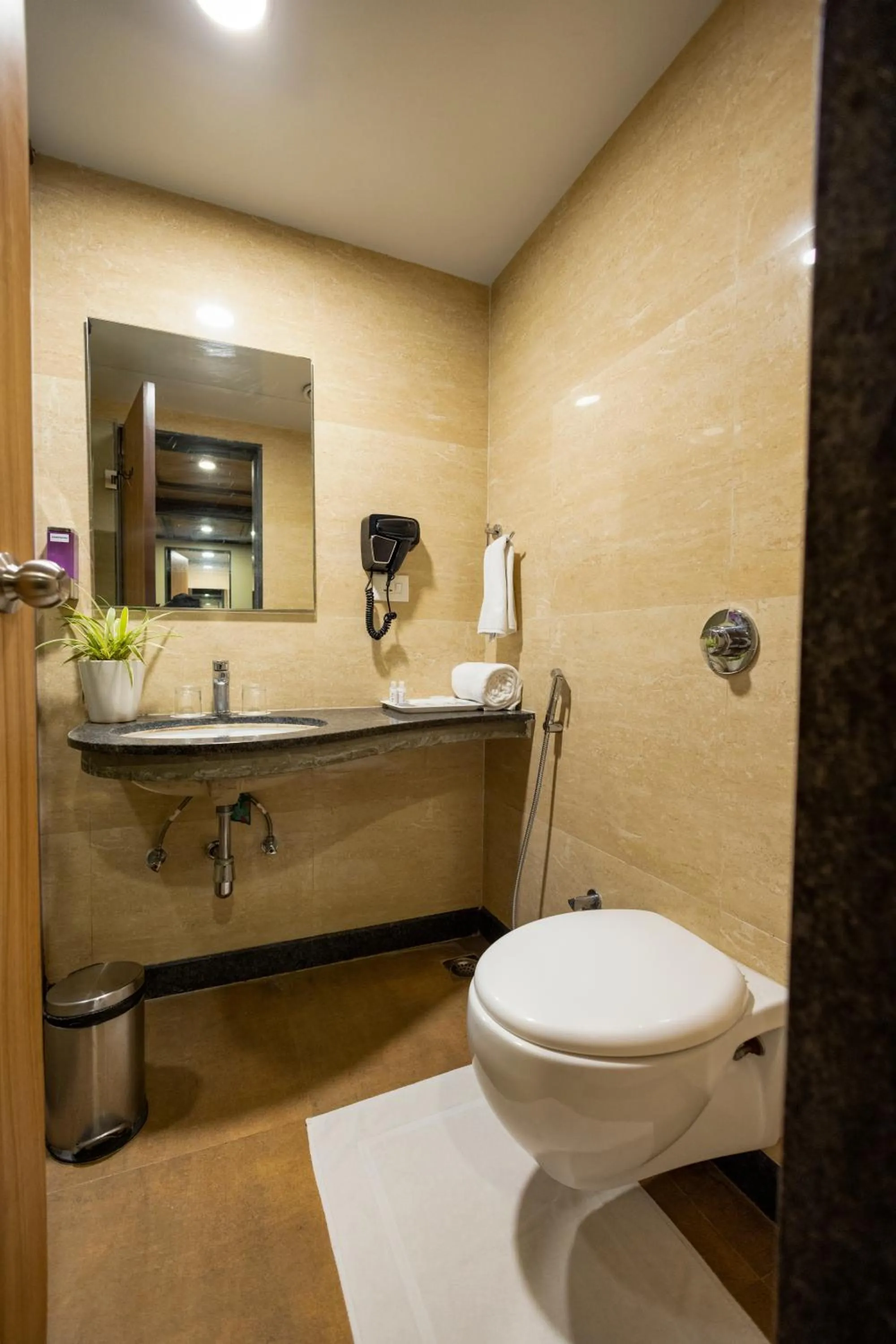 Toilet in Hotel Tip Top International Pune