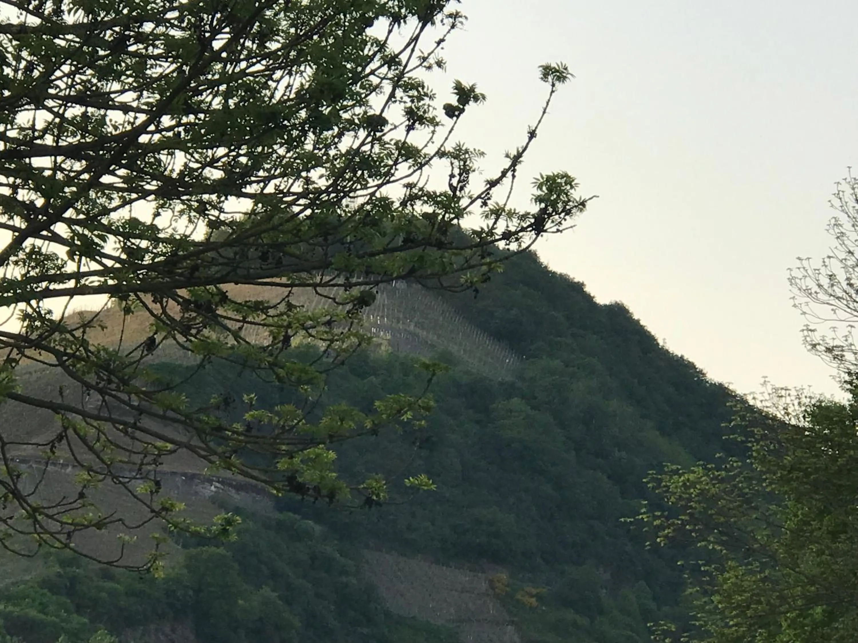 Landmark view in Gästezimmer Klein und Fein für nach dem Wein