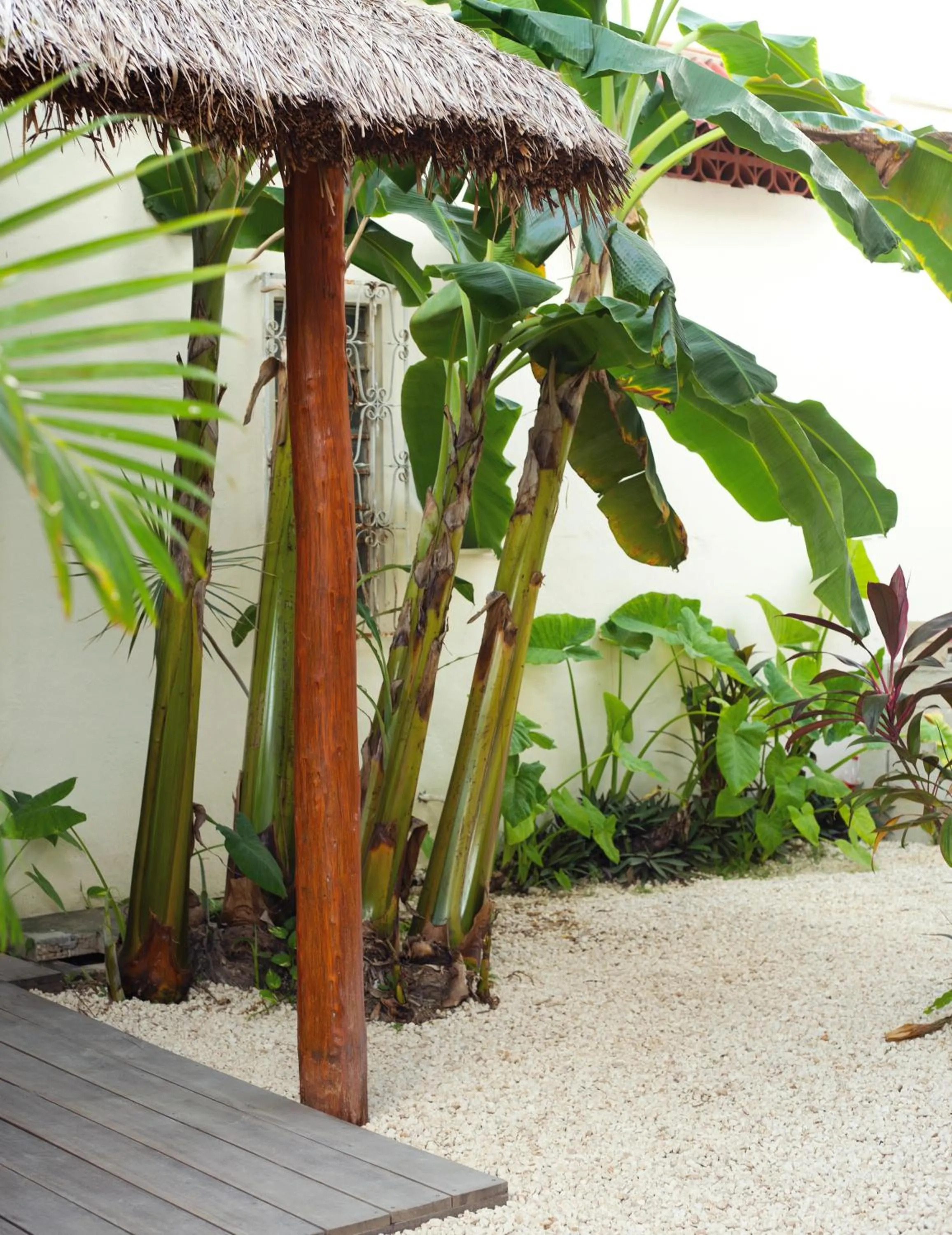 Garden in hotel stella maris tulum