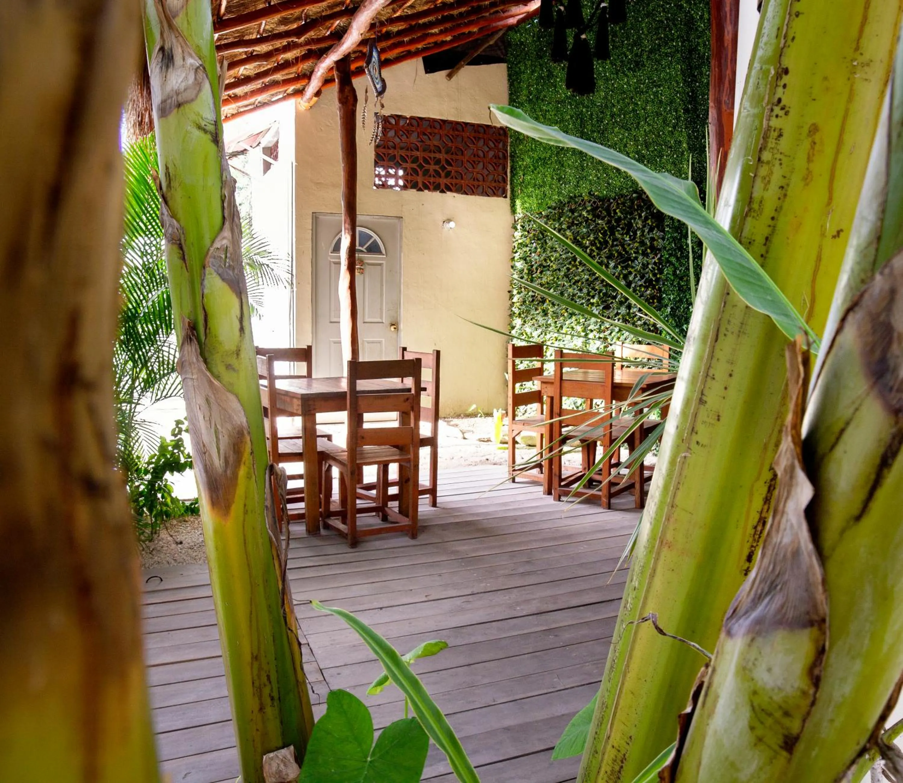 Patio in hotel stella maris tulum