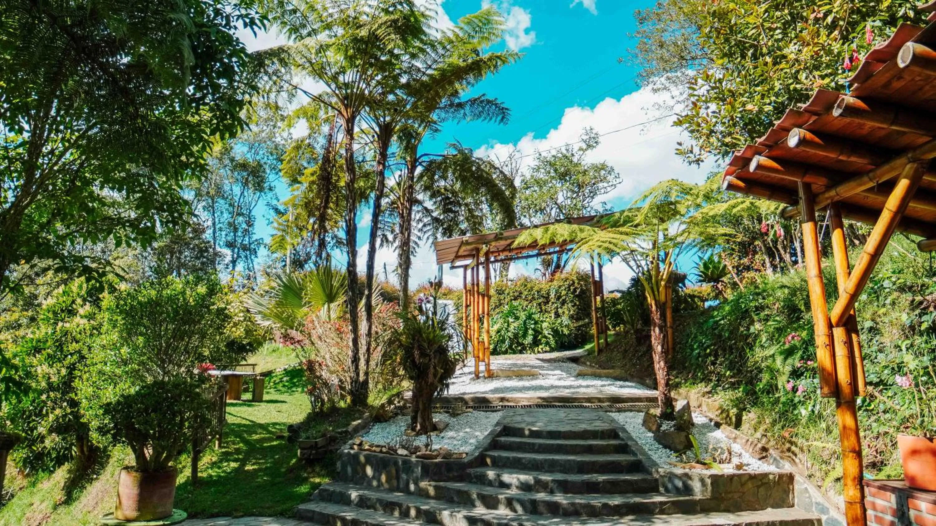 Property building in ORU CAMPESTRE