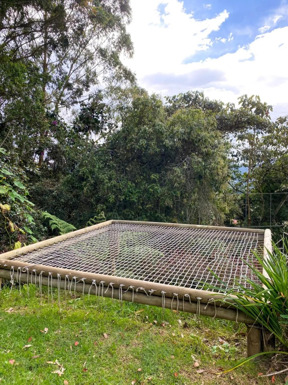 Garden view in ORU CAMPESTRE